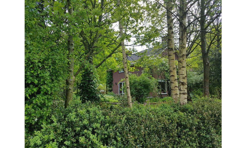 Casa nella natura a Wehl