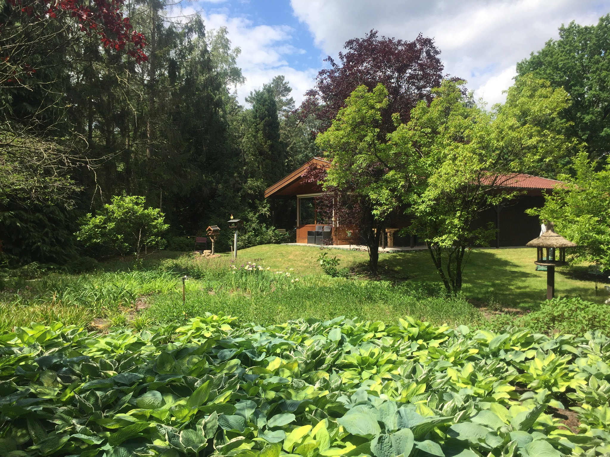 Naturhäuschen in Uelsen