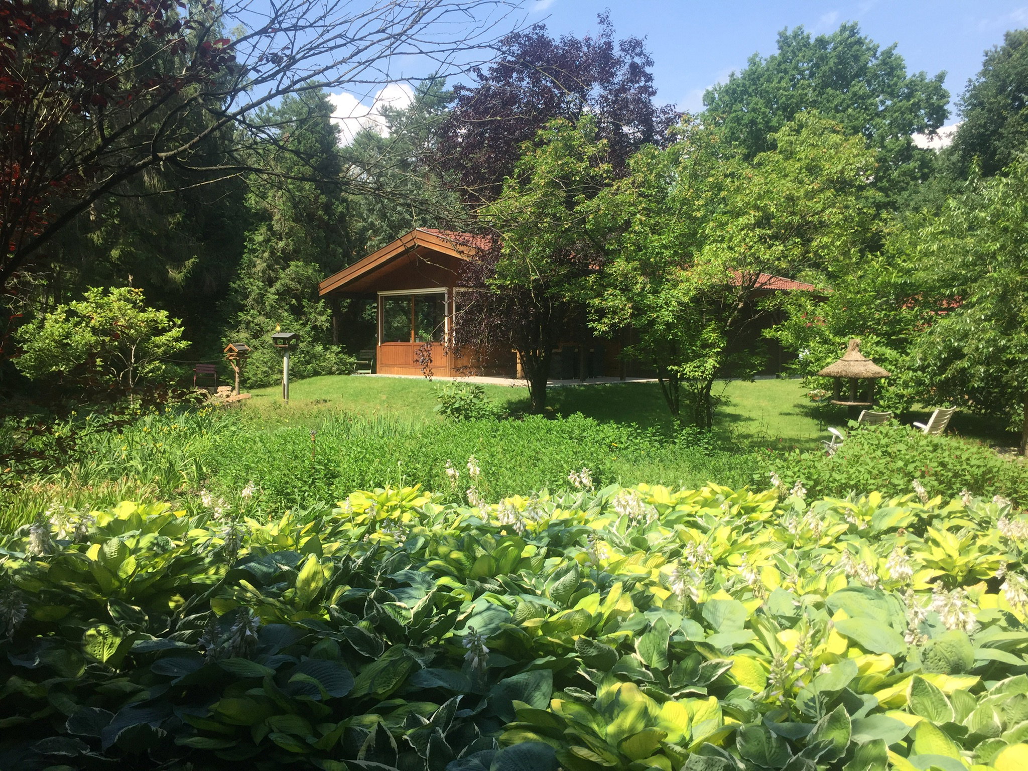 Naturhäuschen in Uelsen