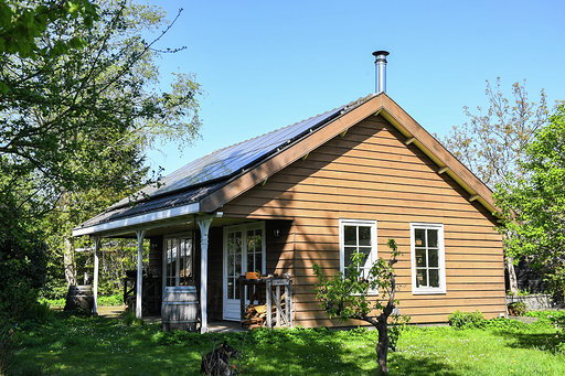 - image: 1