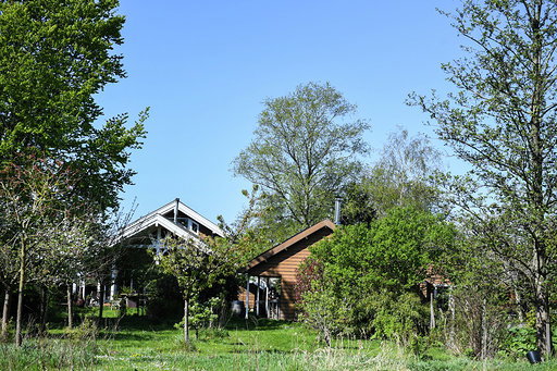 - image: 4