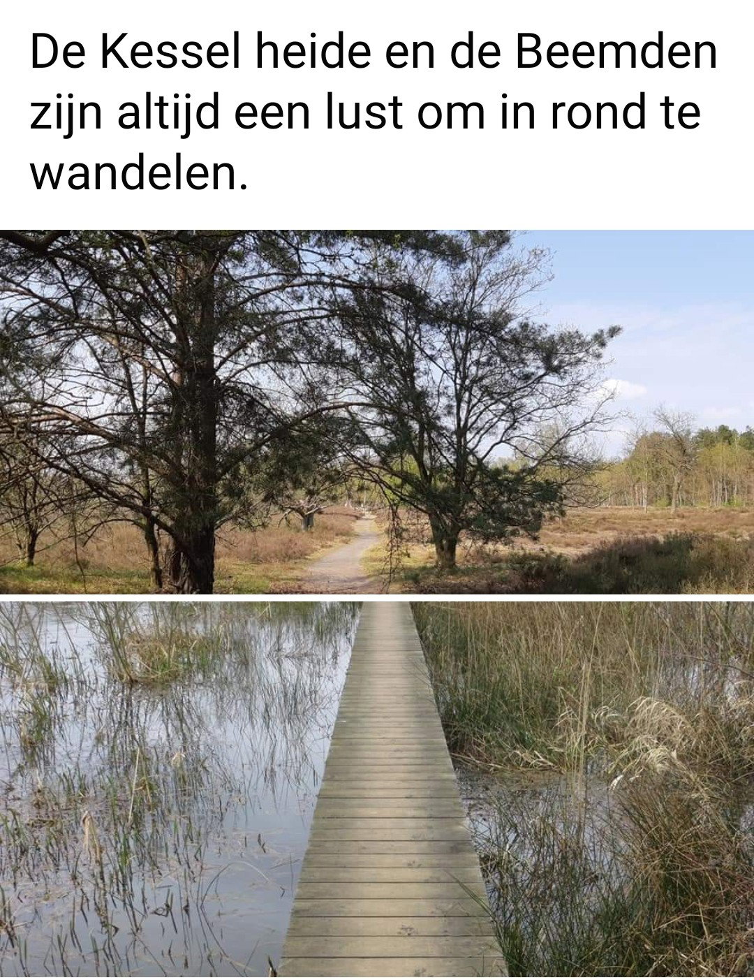 - image: 16