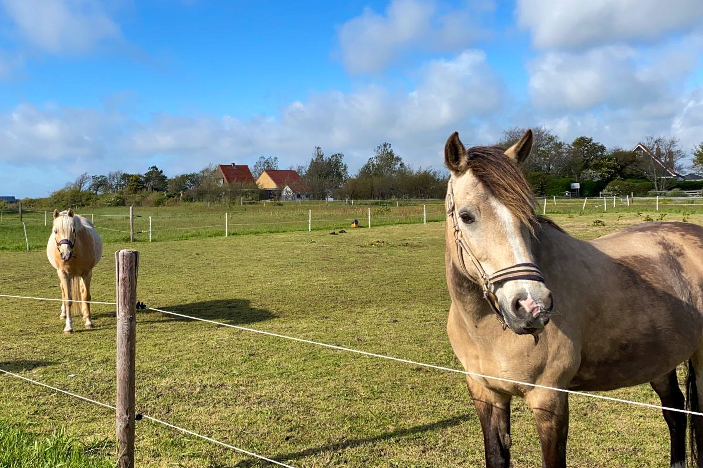 Natuurhuisje in Den Burg
