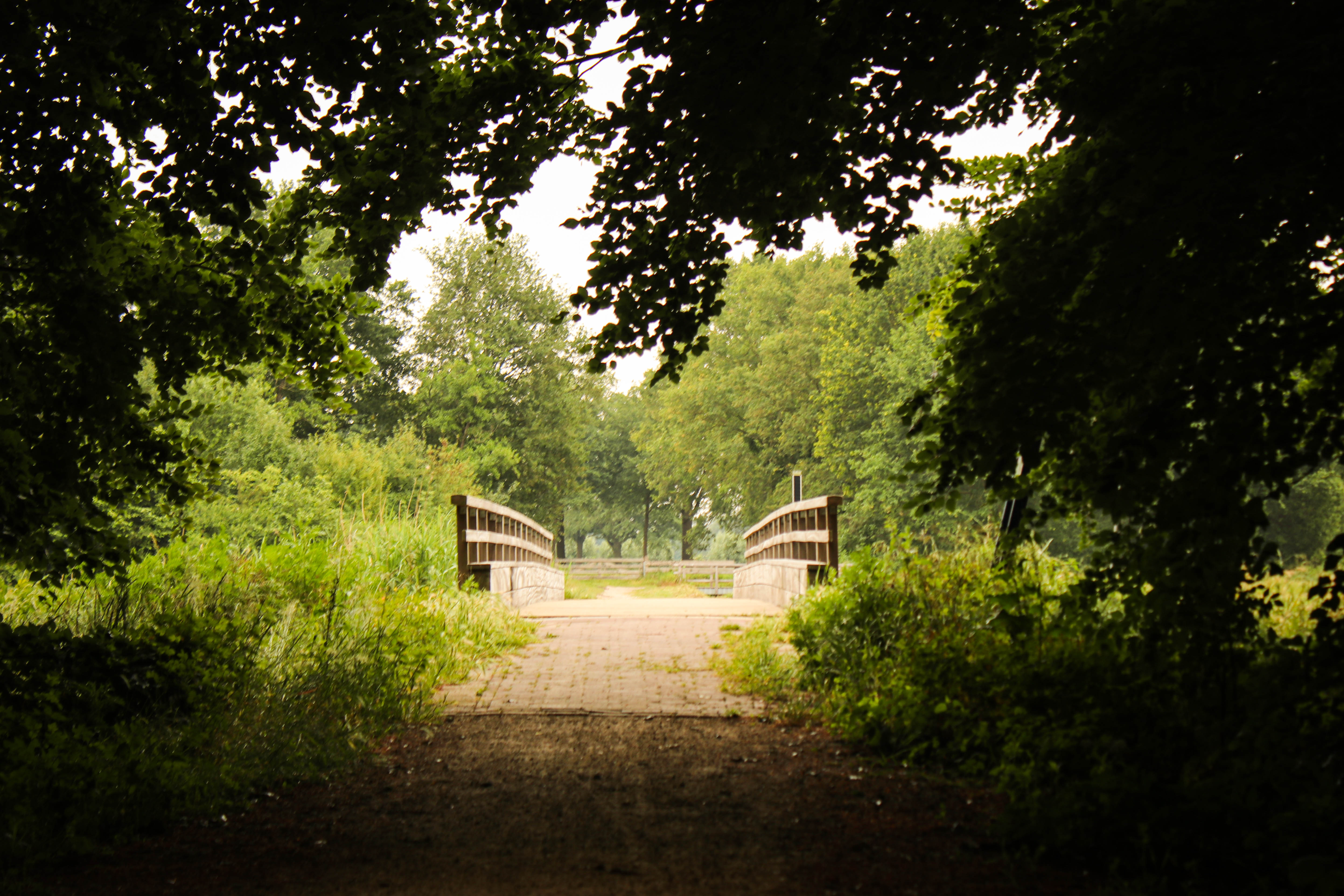 - image: 14