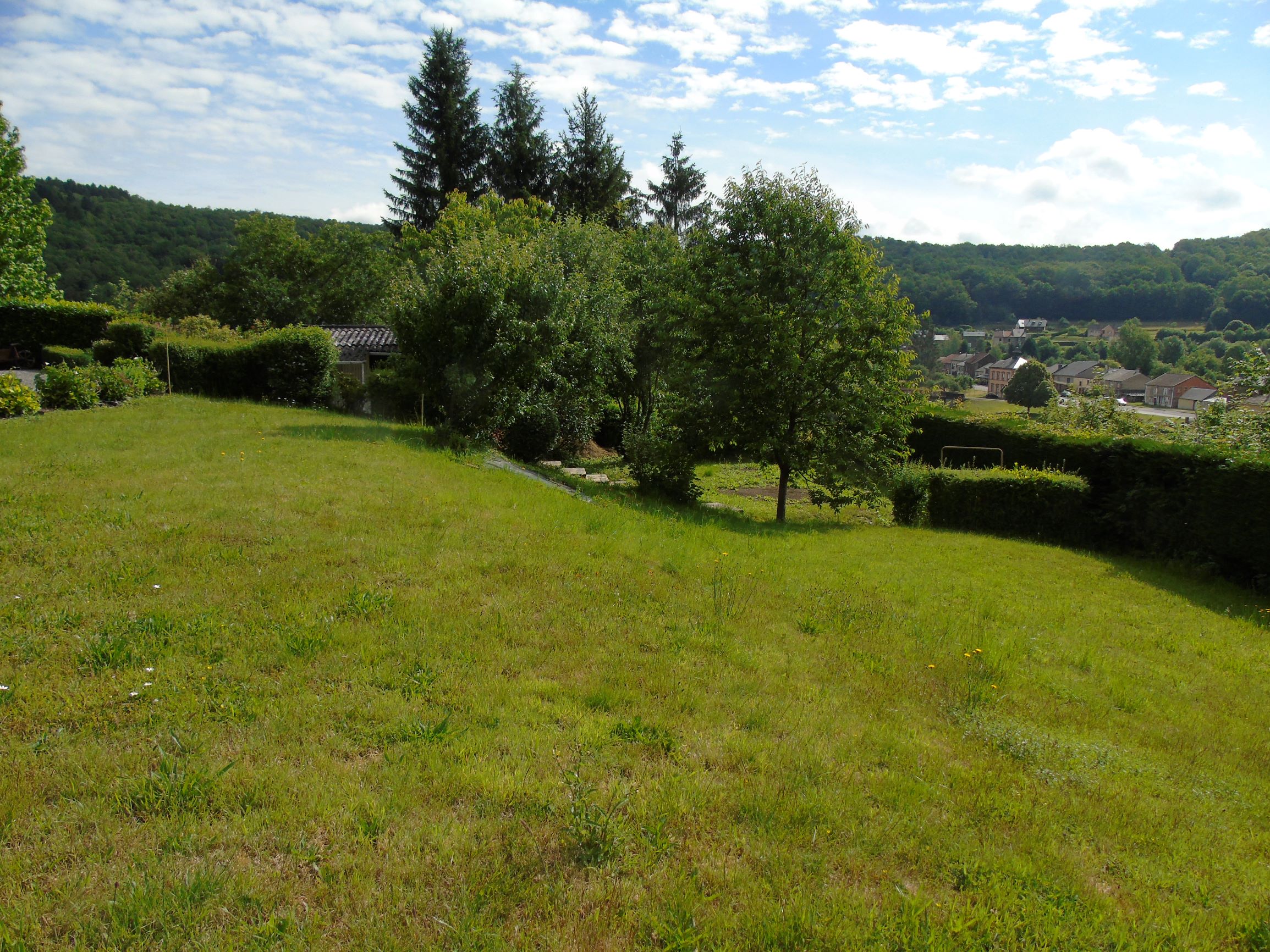 - image: 47