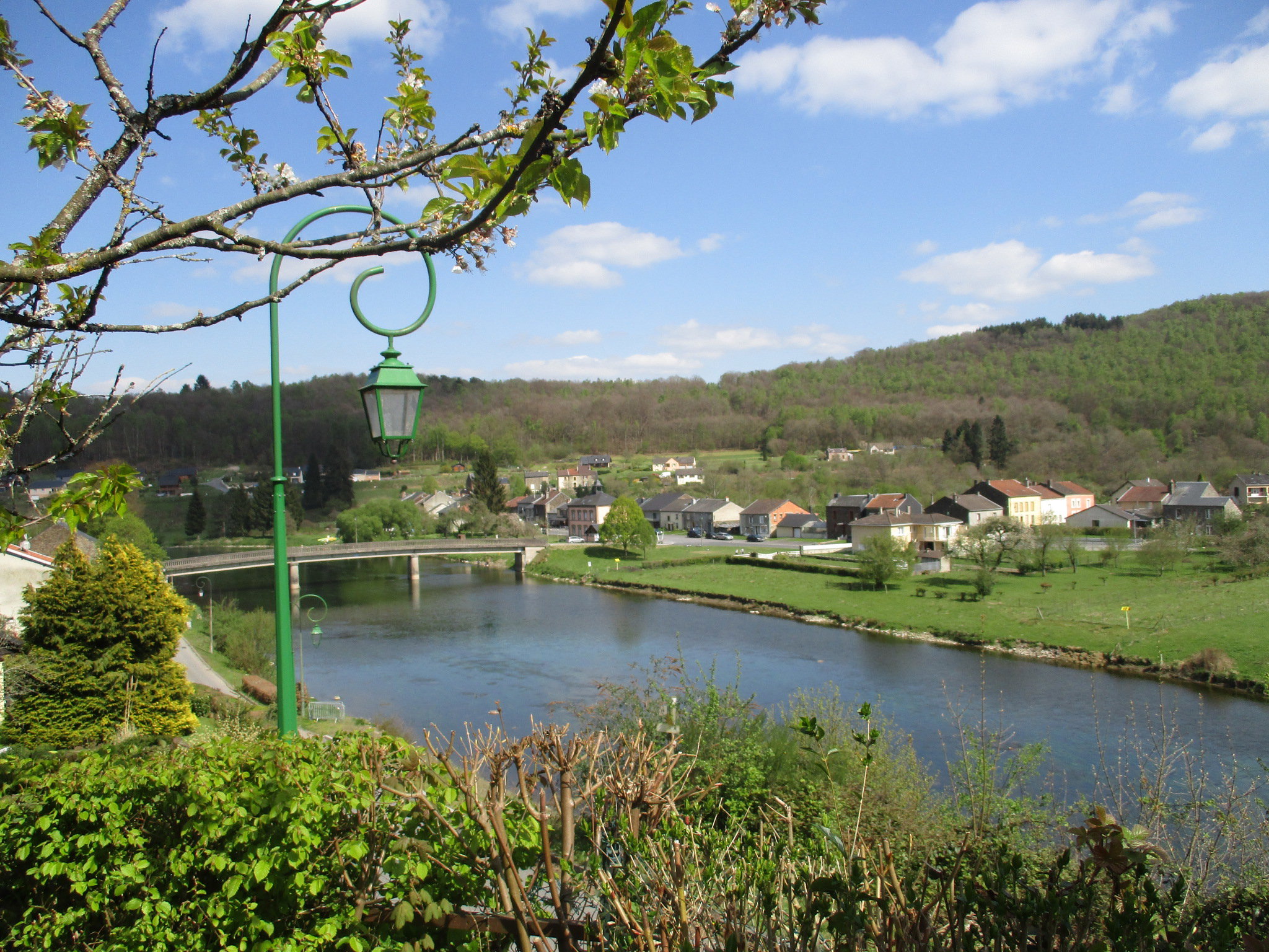 - image: 12