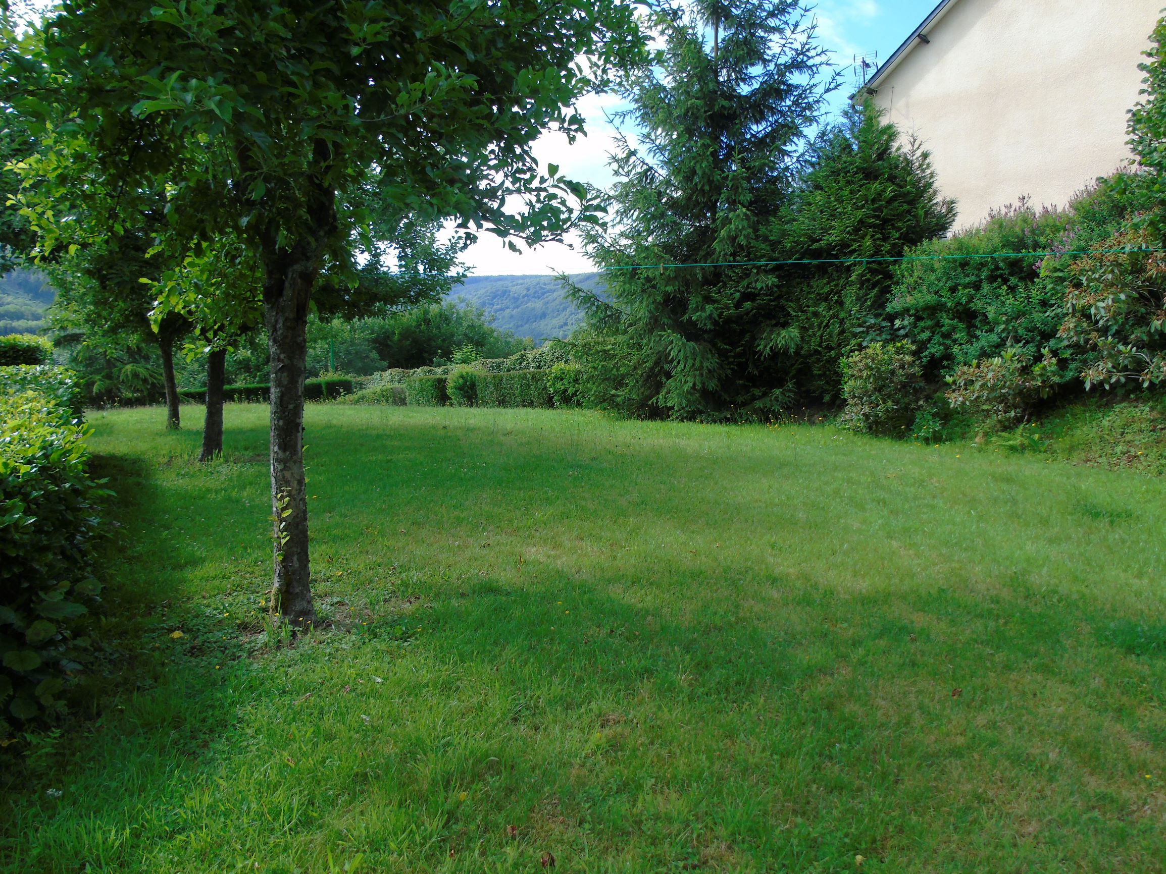 - image: 51