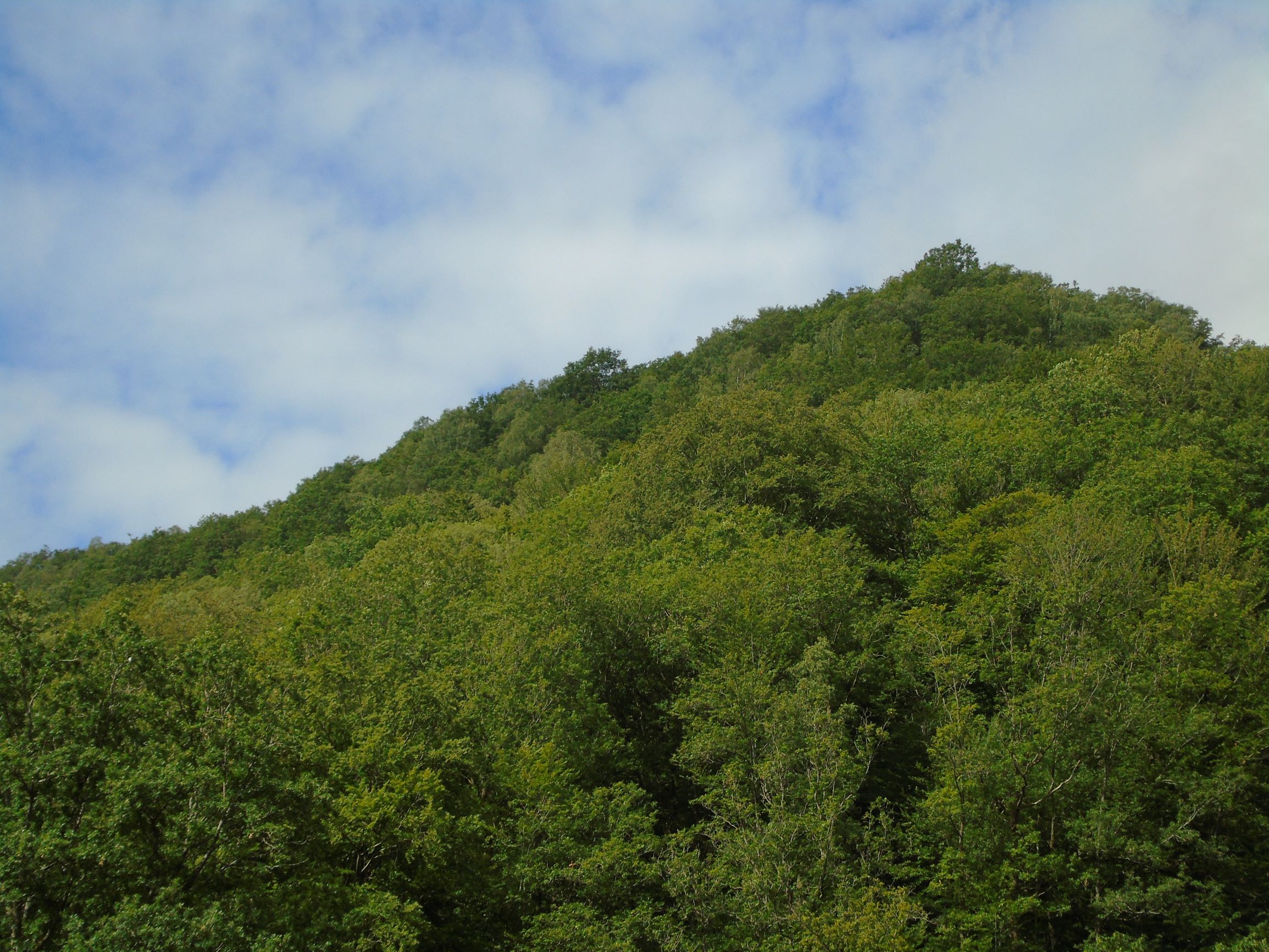 Natuurhuisje in Tournavaux
