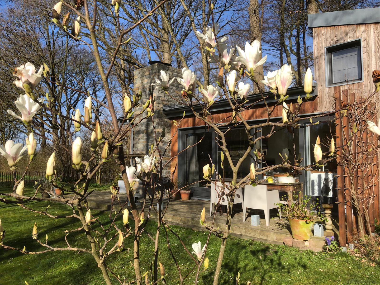 Casa nella natura a Haaren