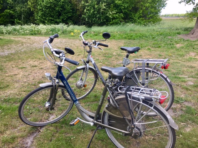 Natuurhuisje in Zuidlaarderveen