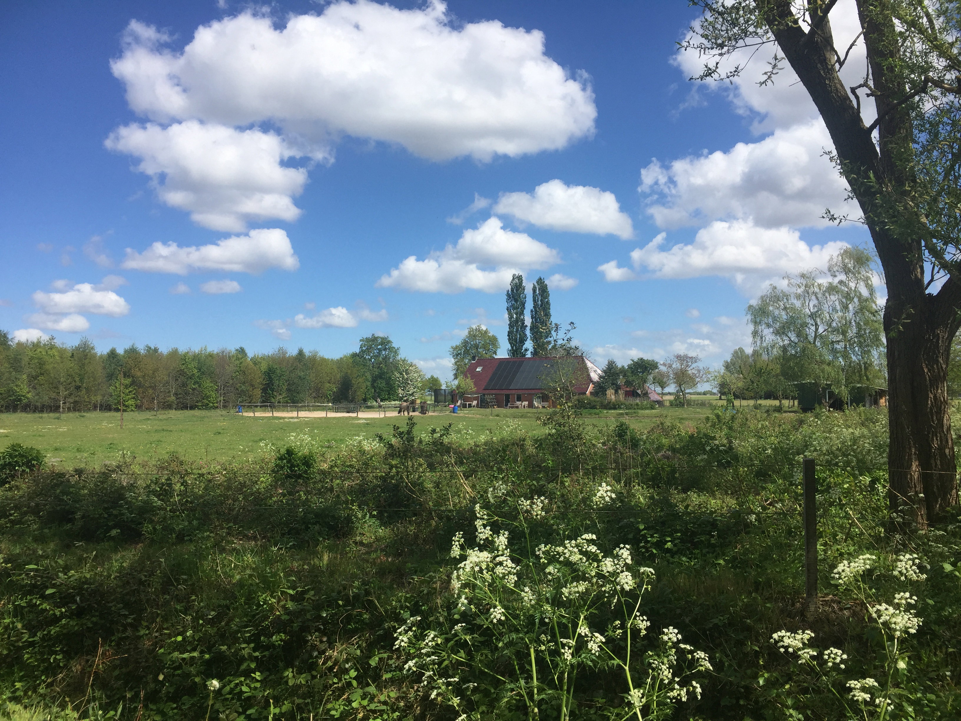Natuurhuisje in Zuidlaarderveen