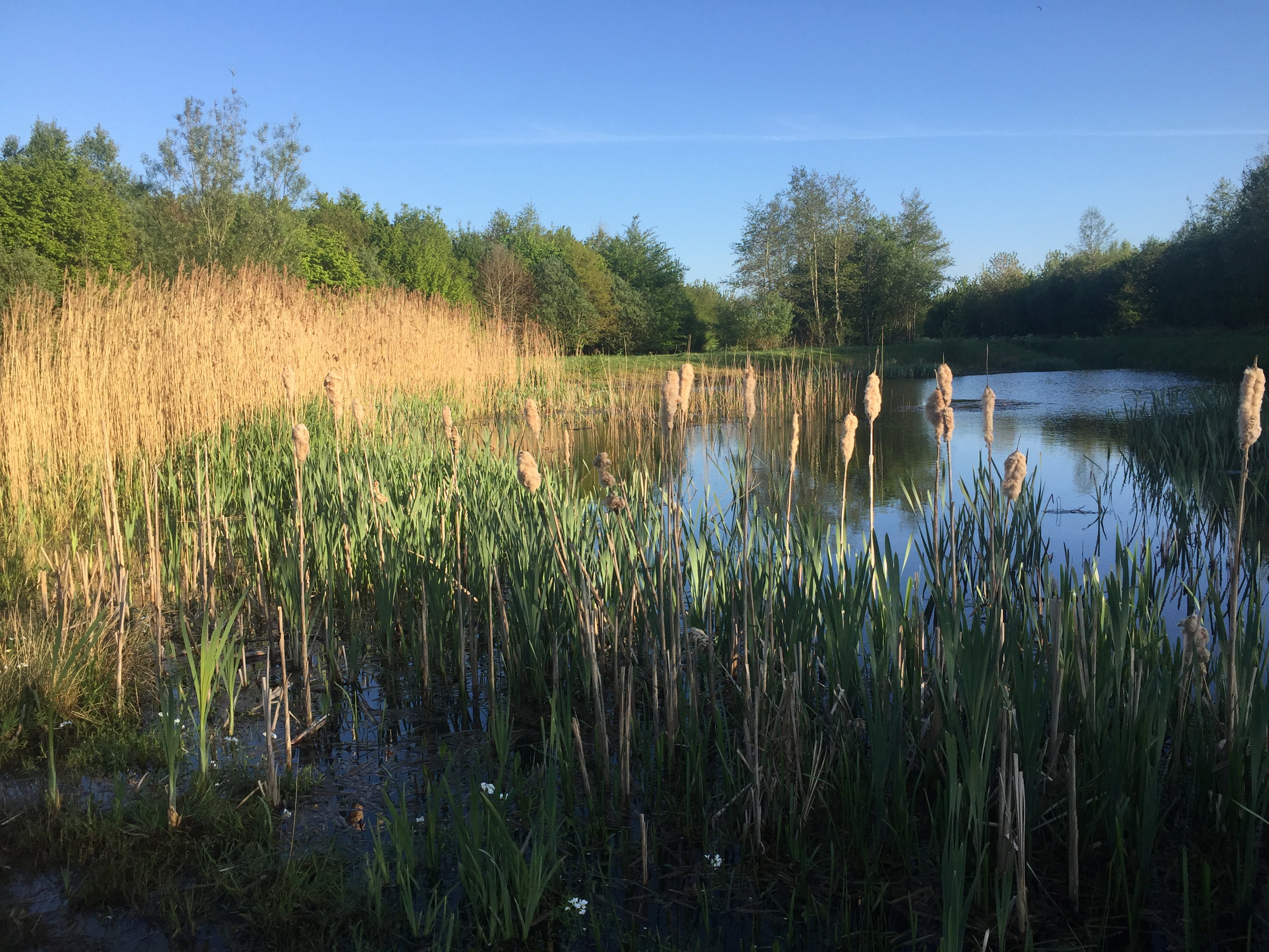 Natuurhuisje in Zuidlaarderveen