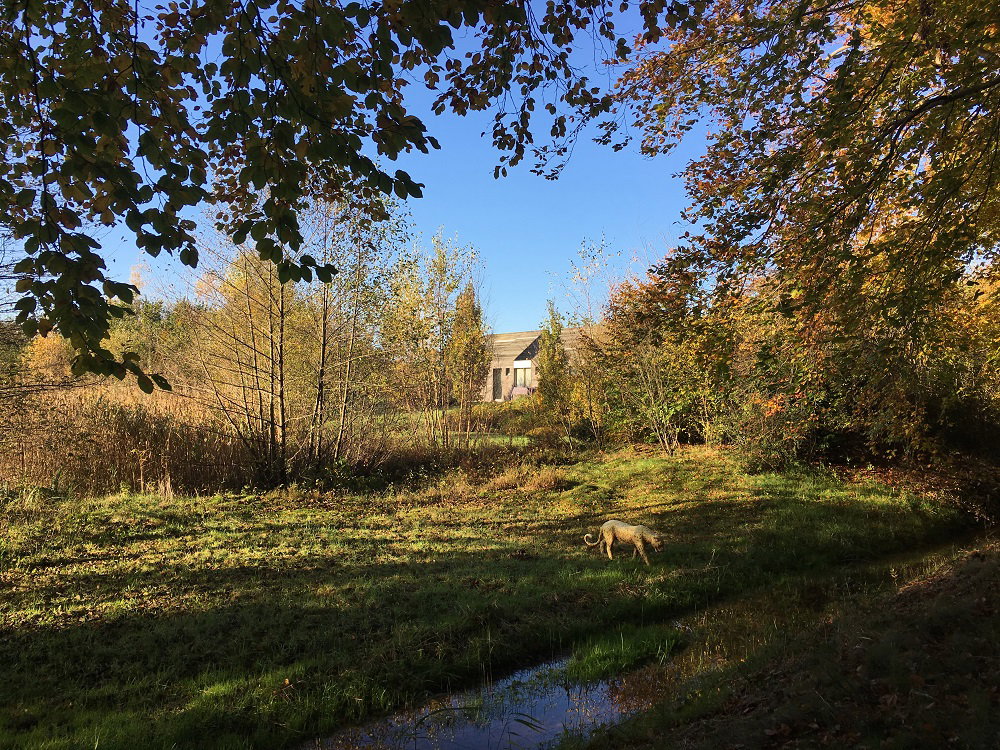 - image: 16