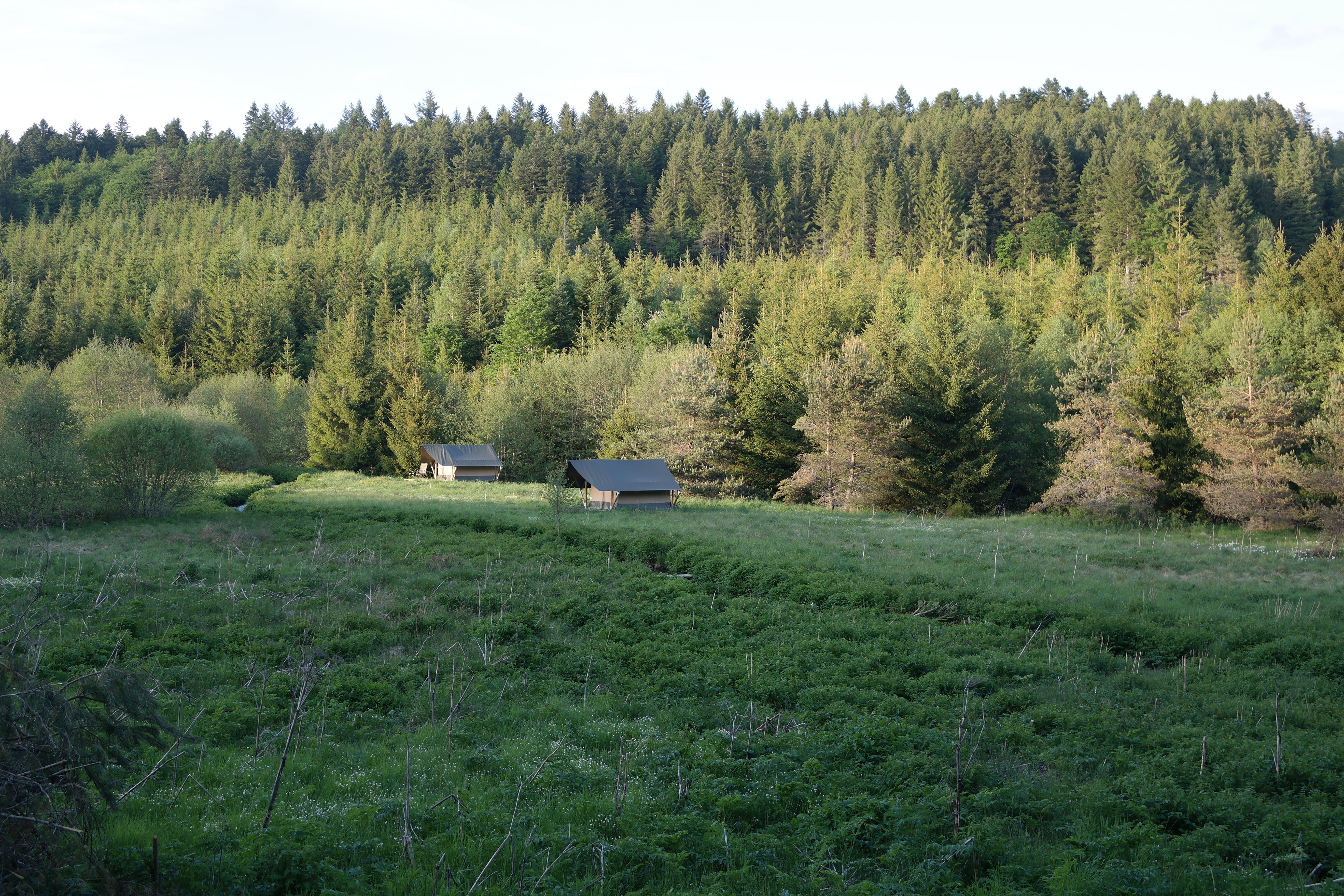 - image: 18