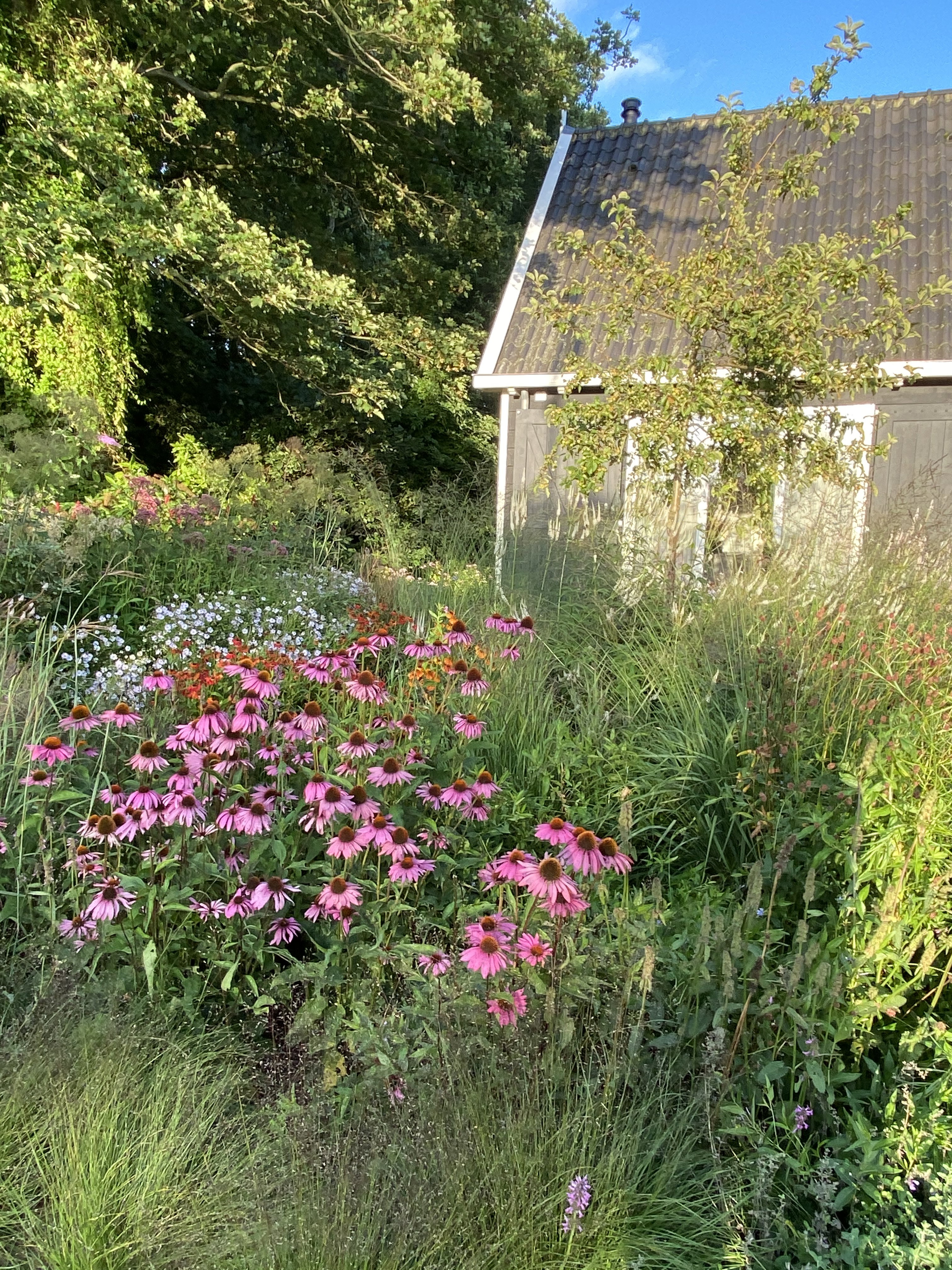 Natuurhuisje in Veere
