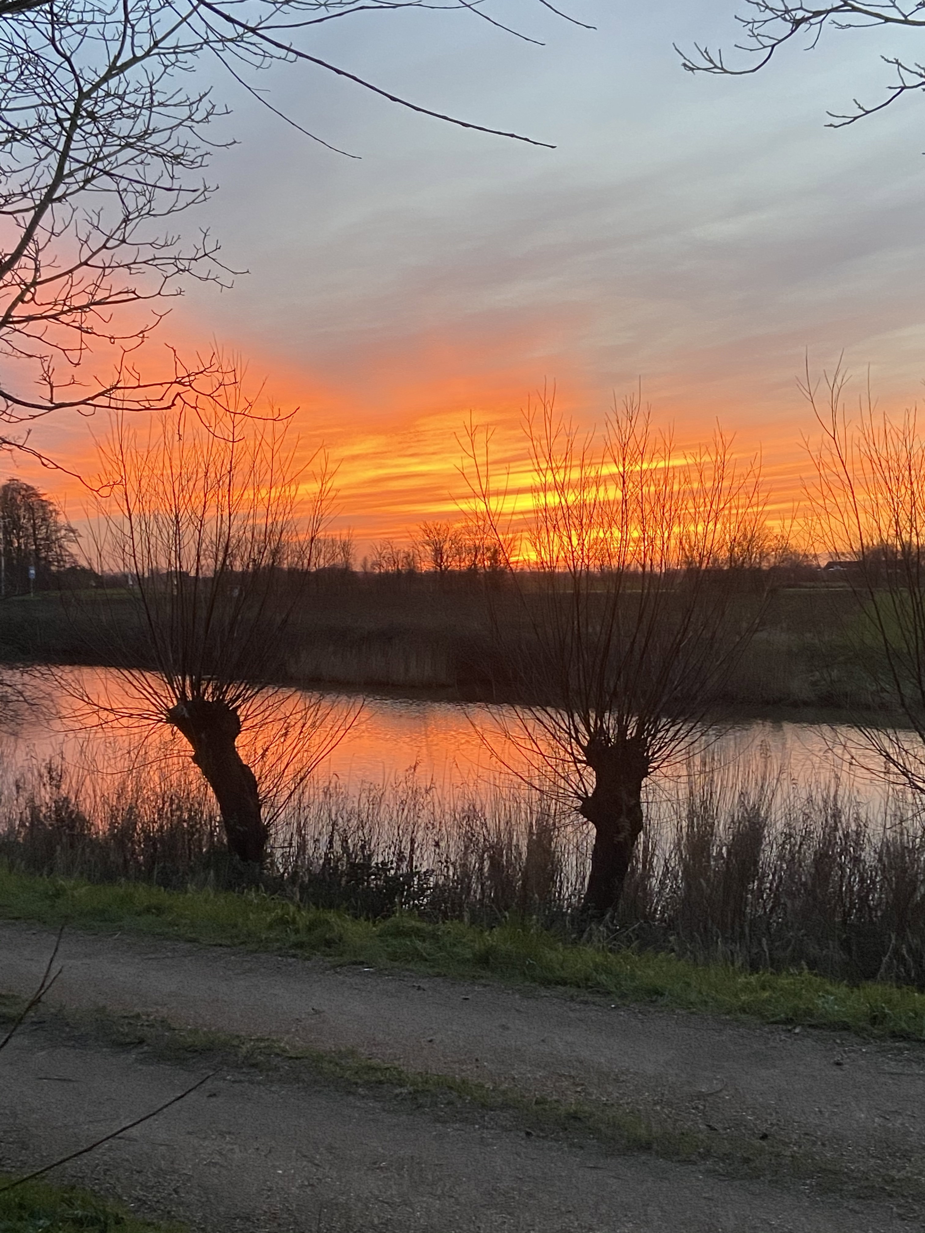 Maison nature à Veere