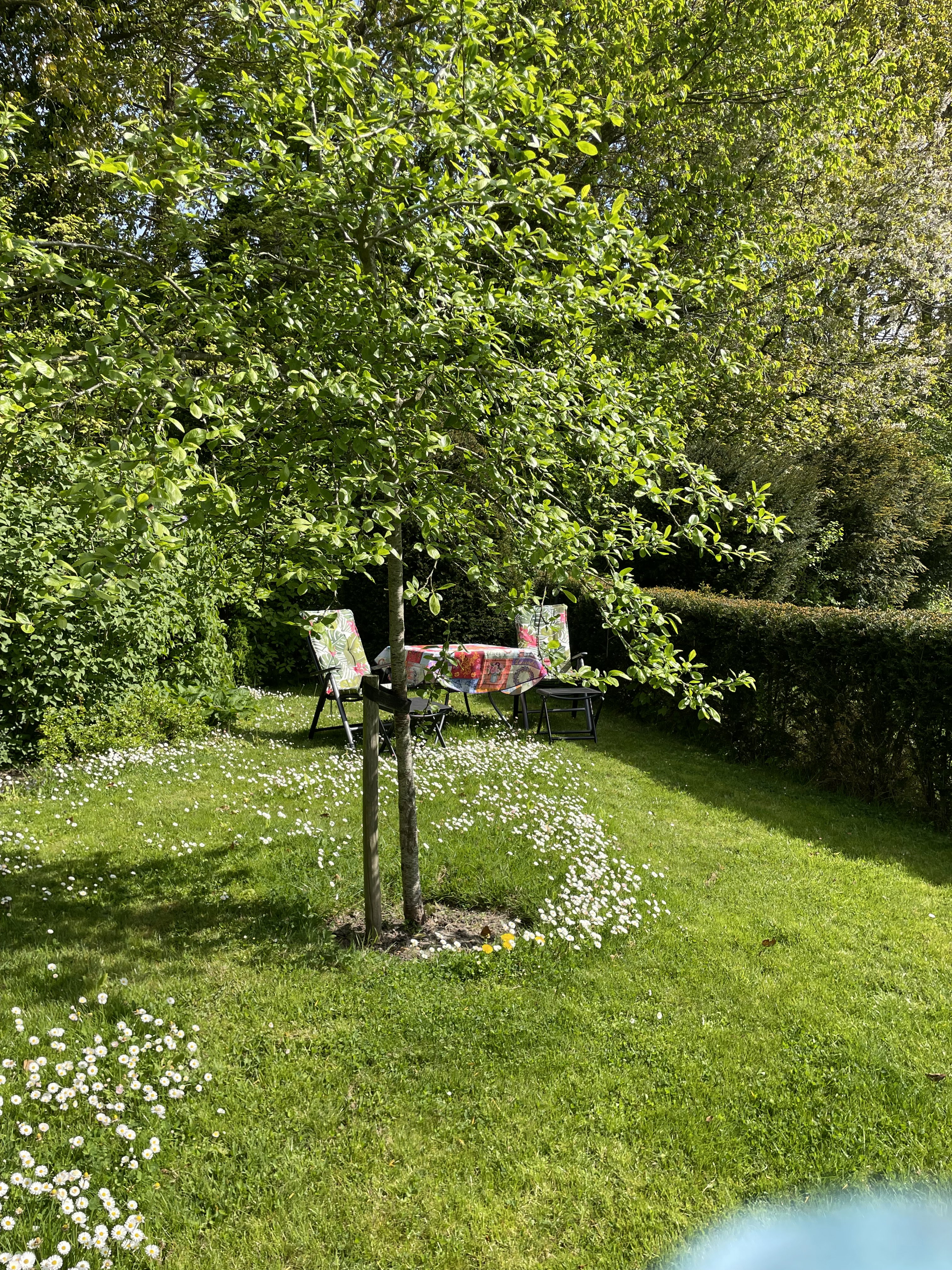 Casa nella natura a Veere