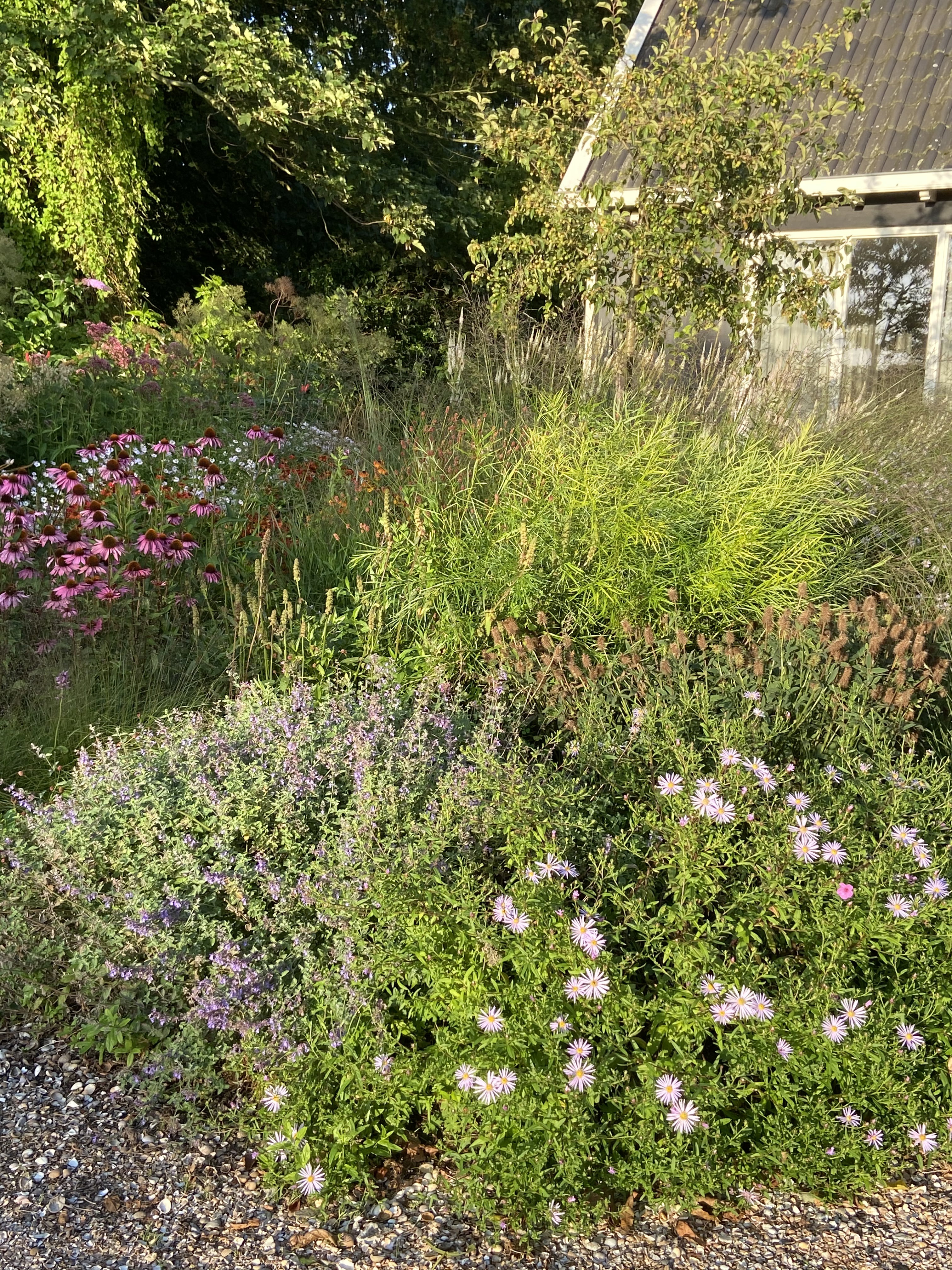 Maison nature à Veere