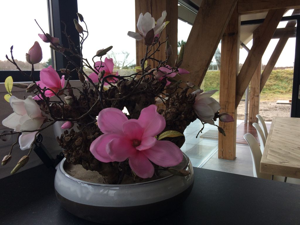 Natuurhuisje in Ouddorp