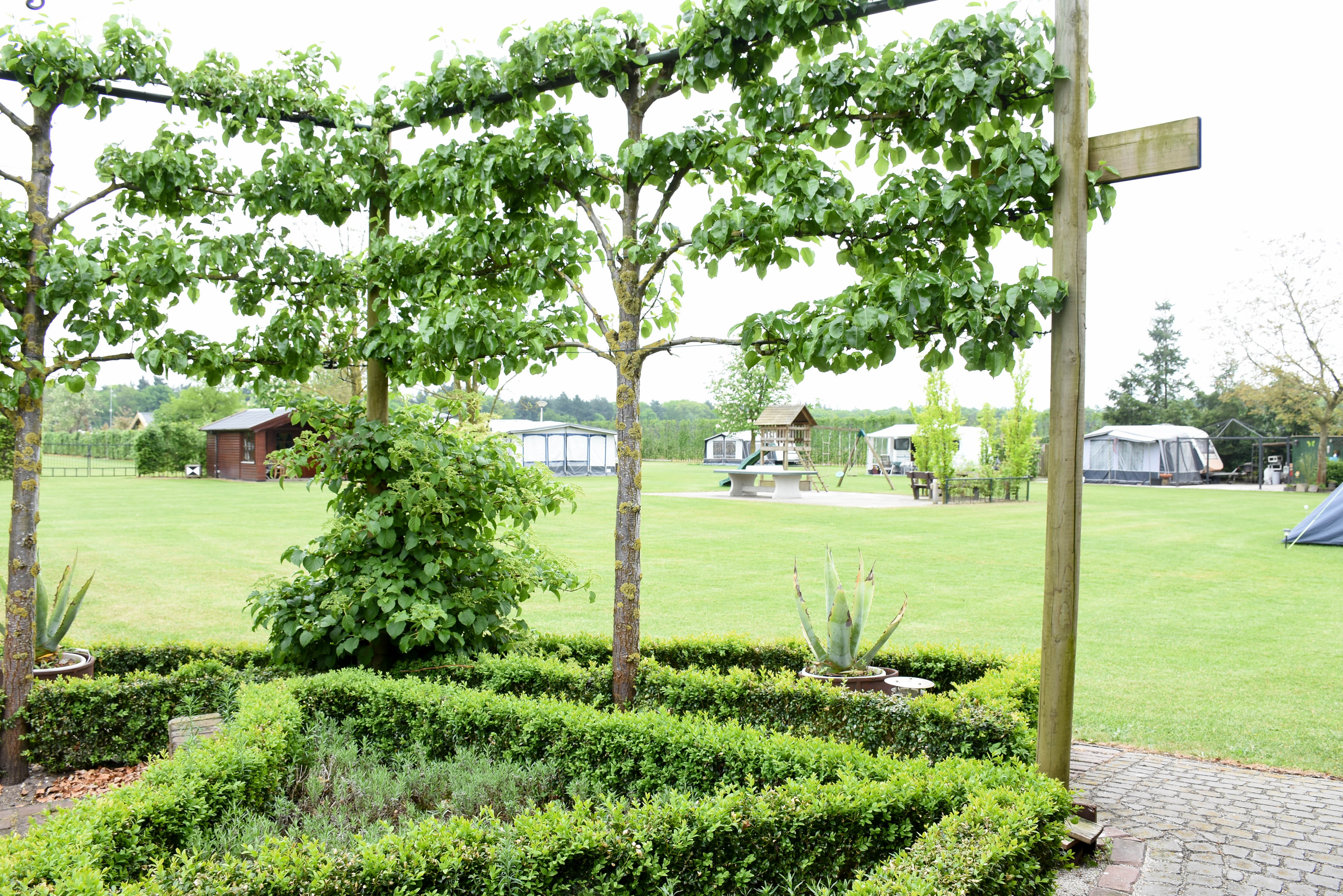 Naturhäuschen in Elsendorp