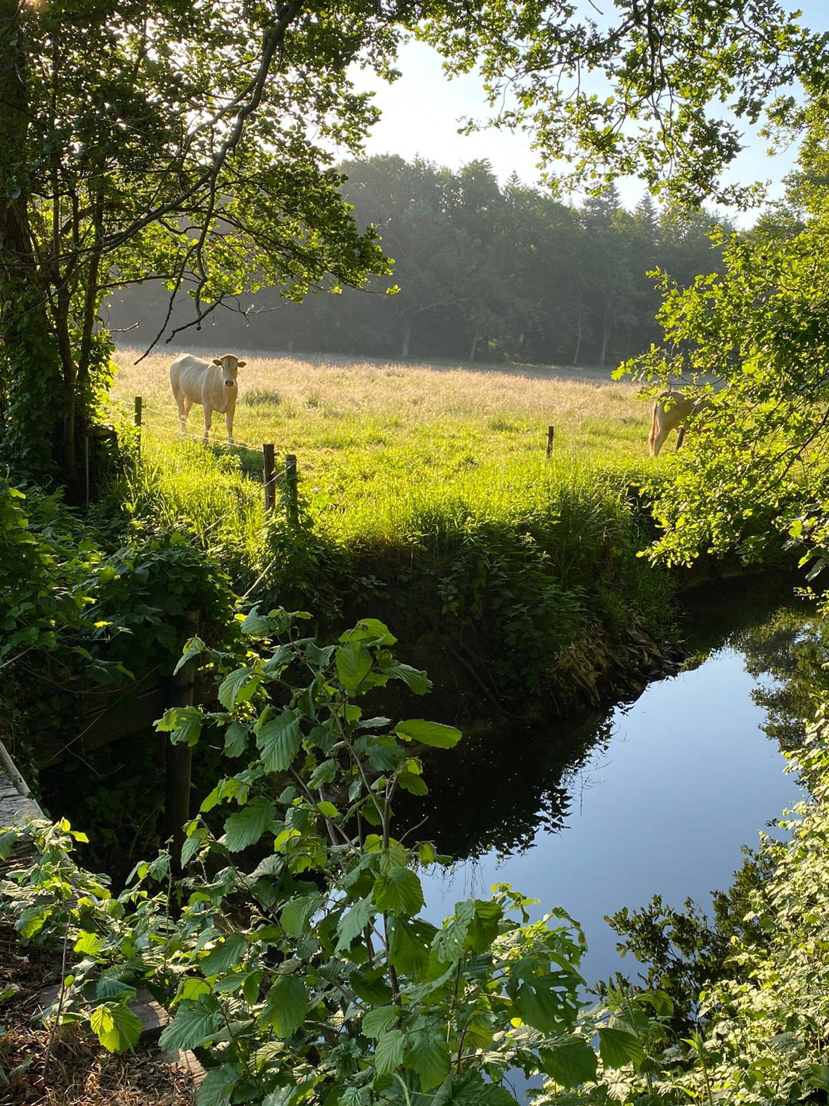 Naturhäuschen in Ulvenhout