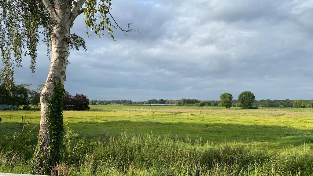 Naturhäuschen in Ulvenhout