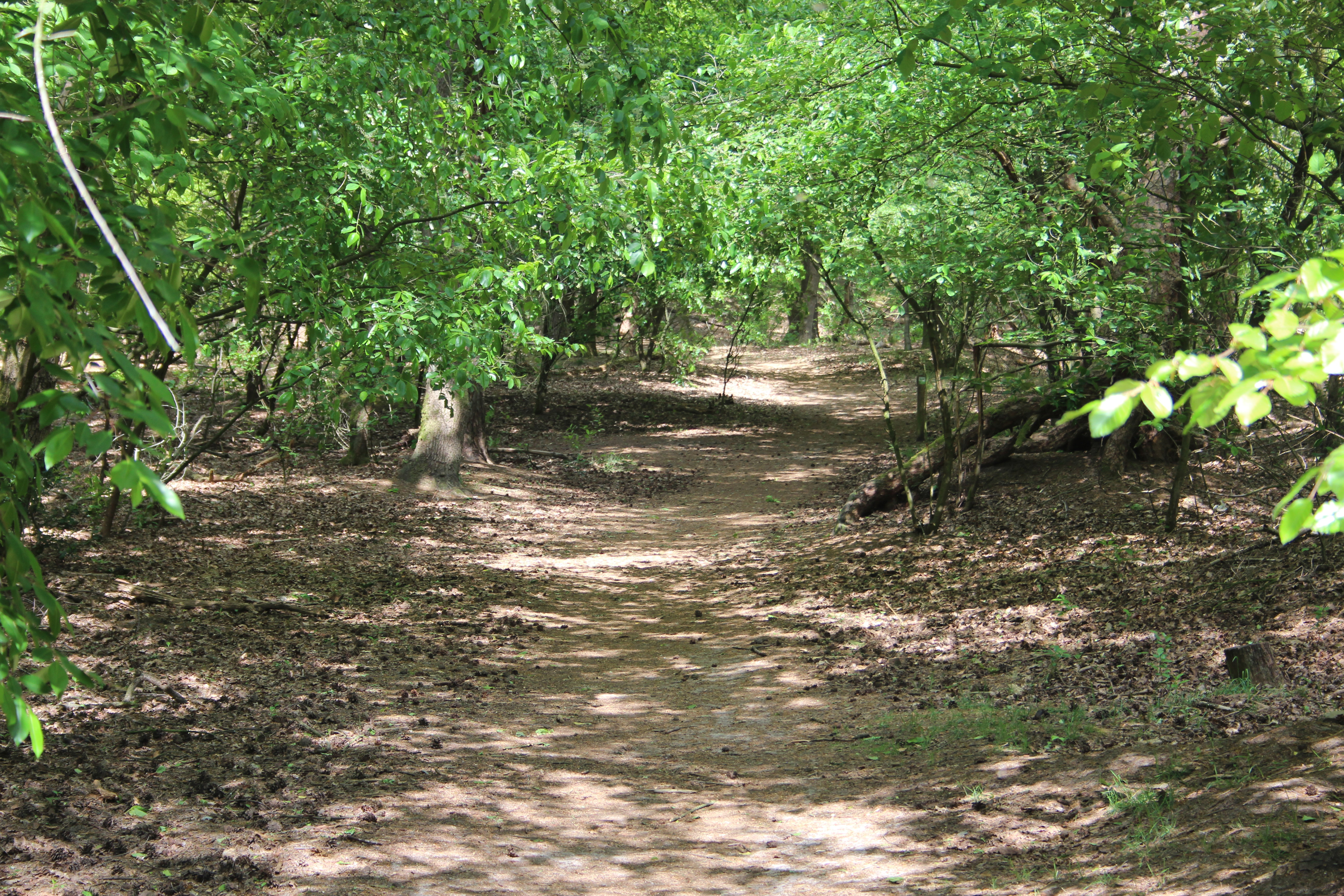 - image: 15