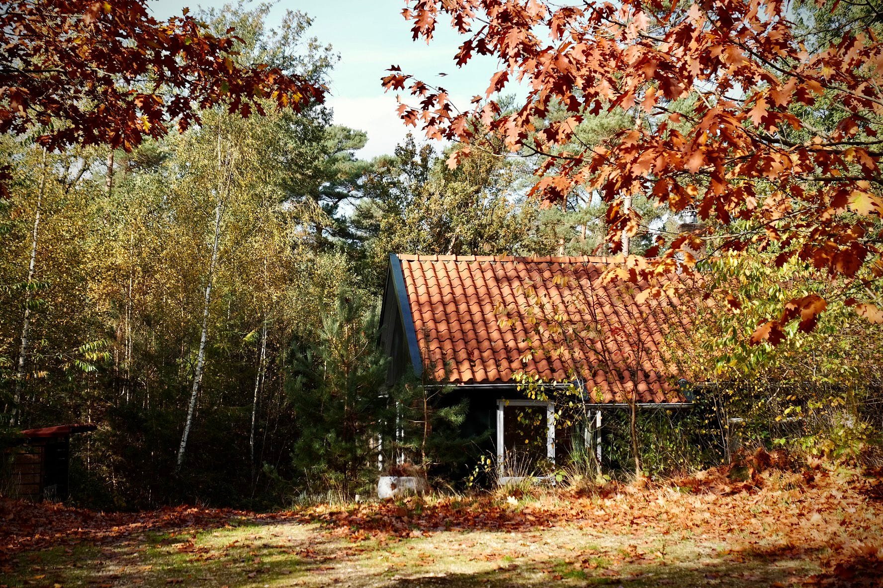 - image: 17