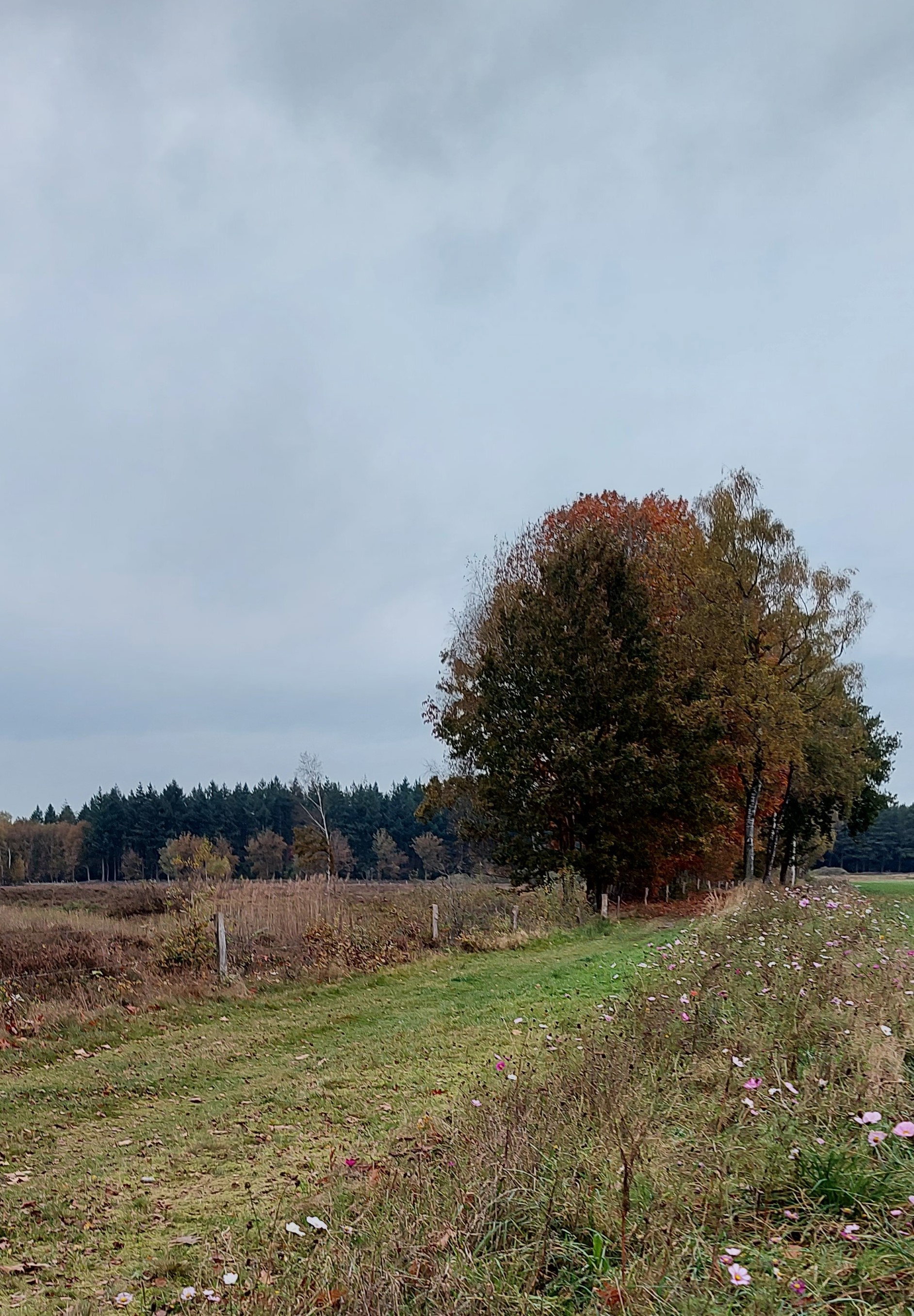 - image: 28