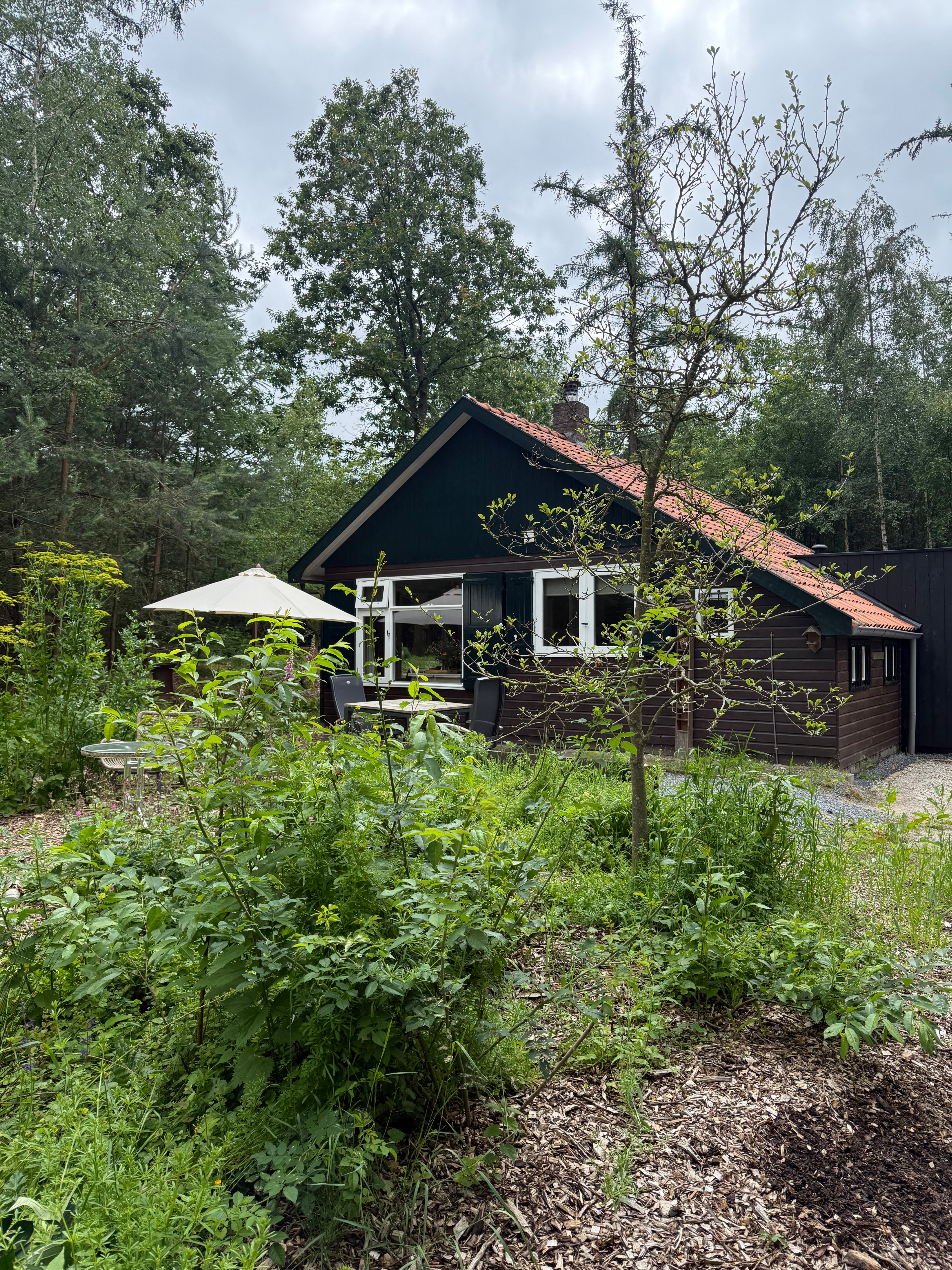 Natuurhuisje in Ommen