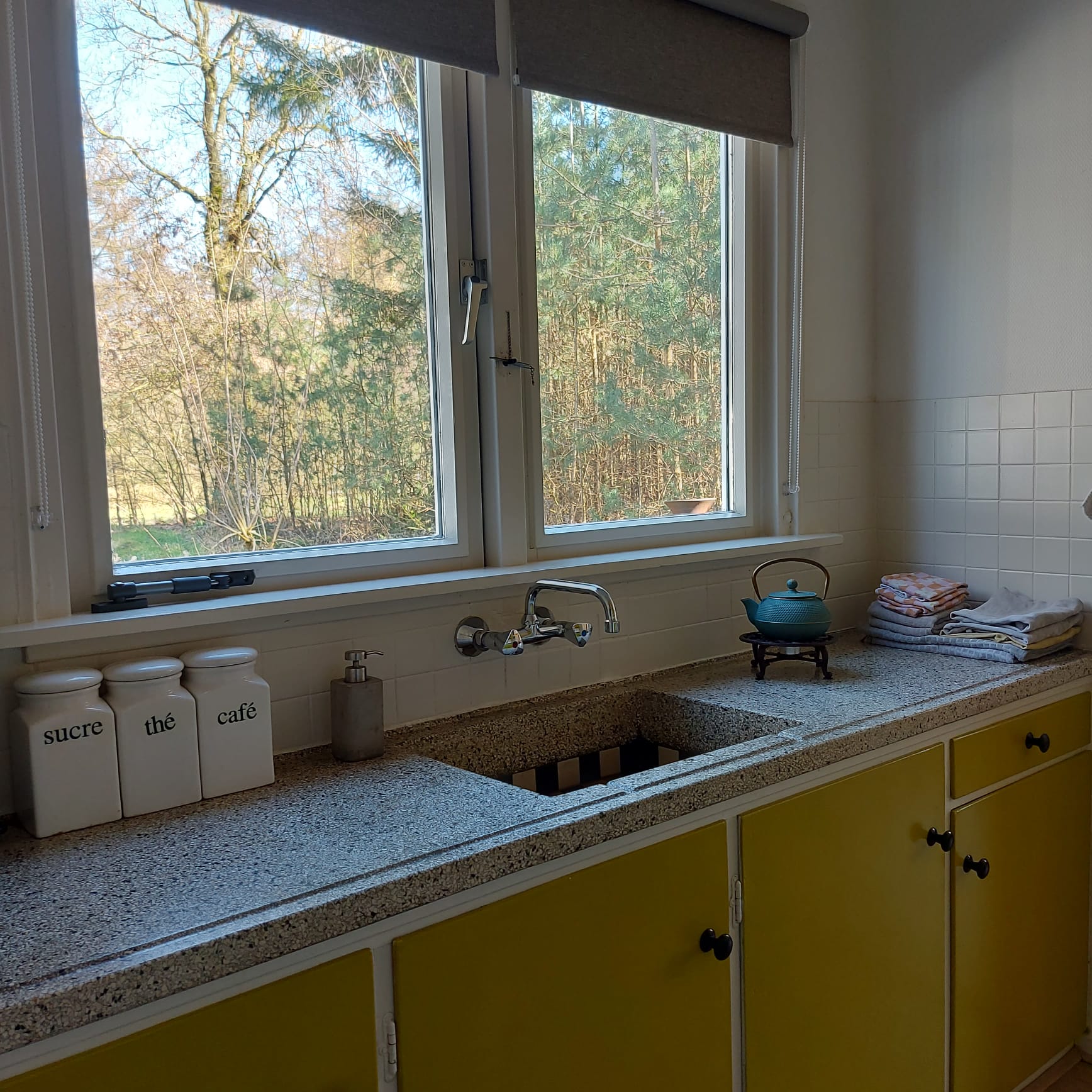 Natuurhuisje in Ommen
