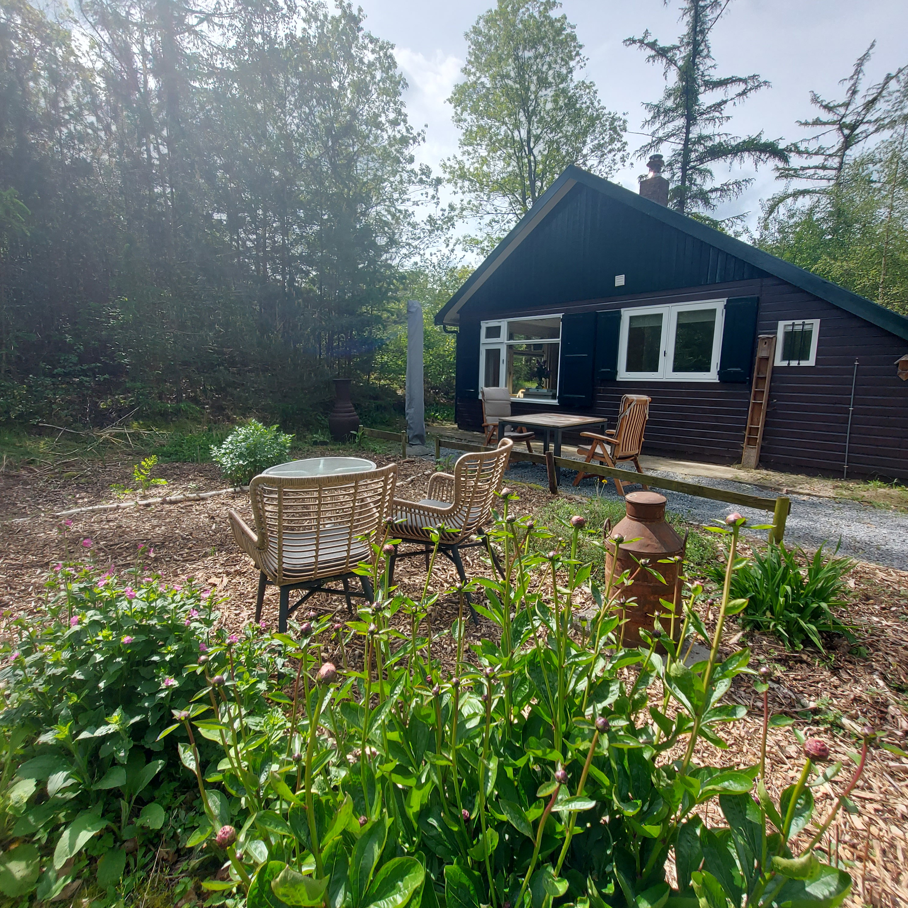 Natuurhuisje in Ommen