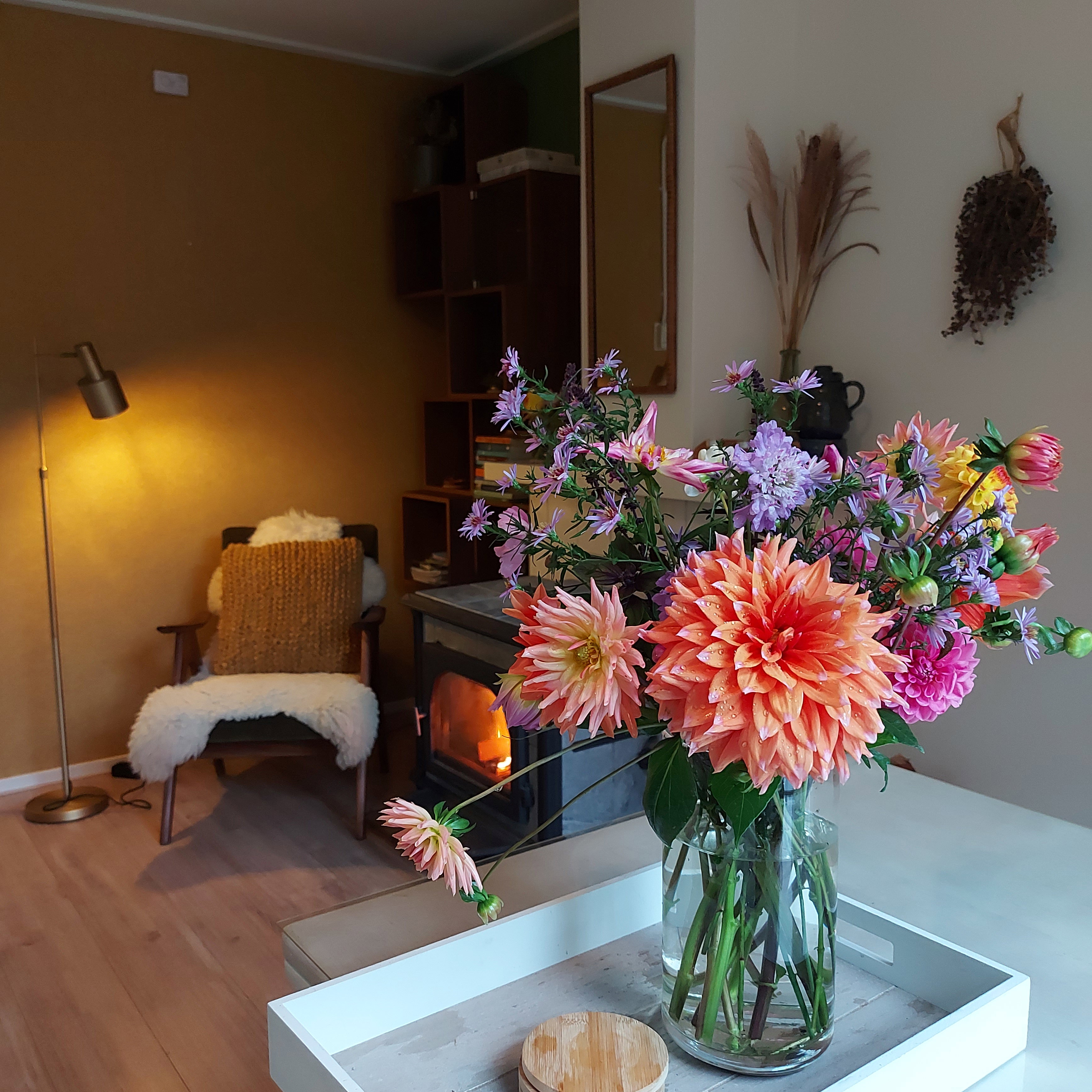 Natuurhuisje in Ommen