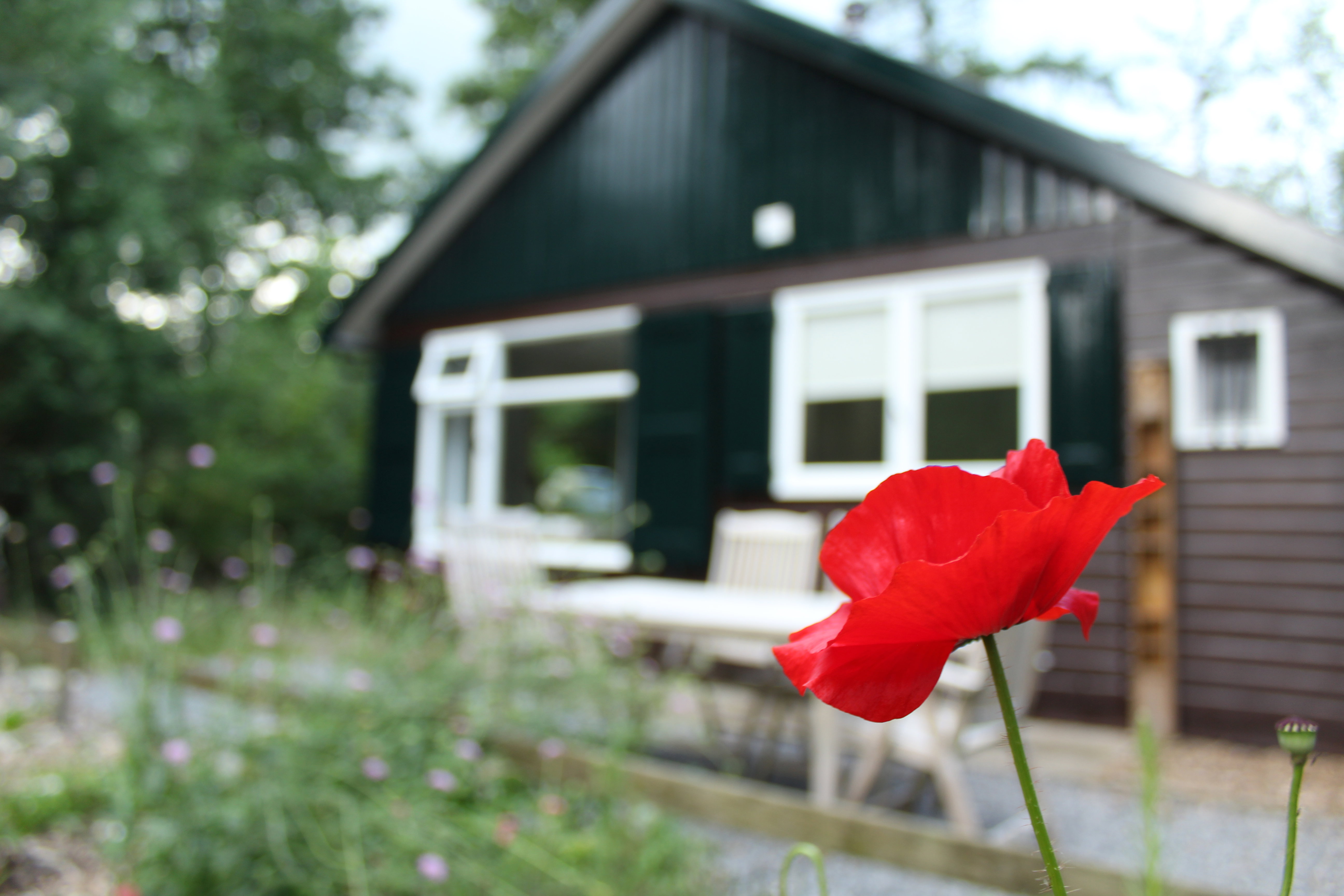 Natuurhuisje in Ommen
