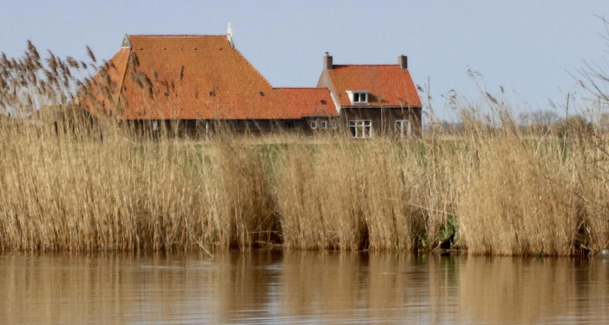 Nature house in Sloten