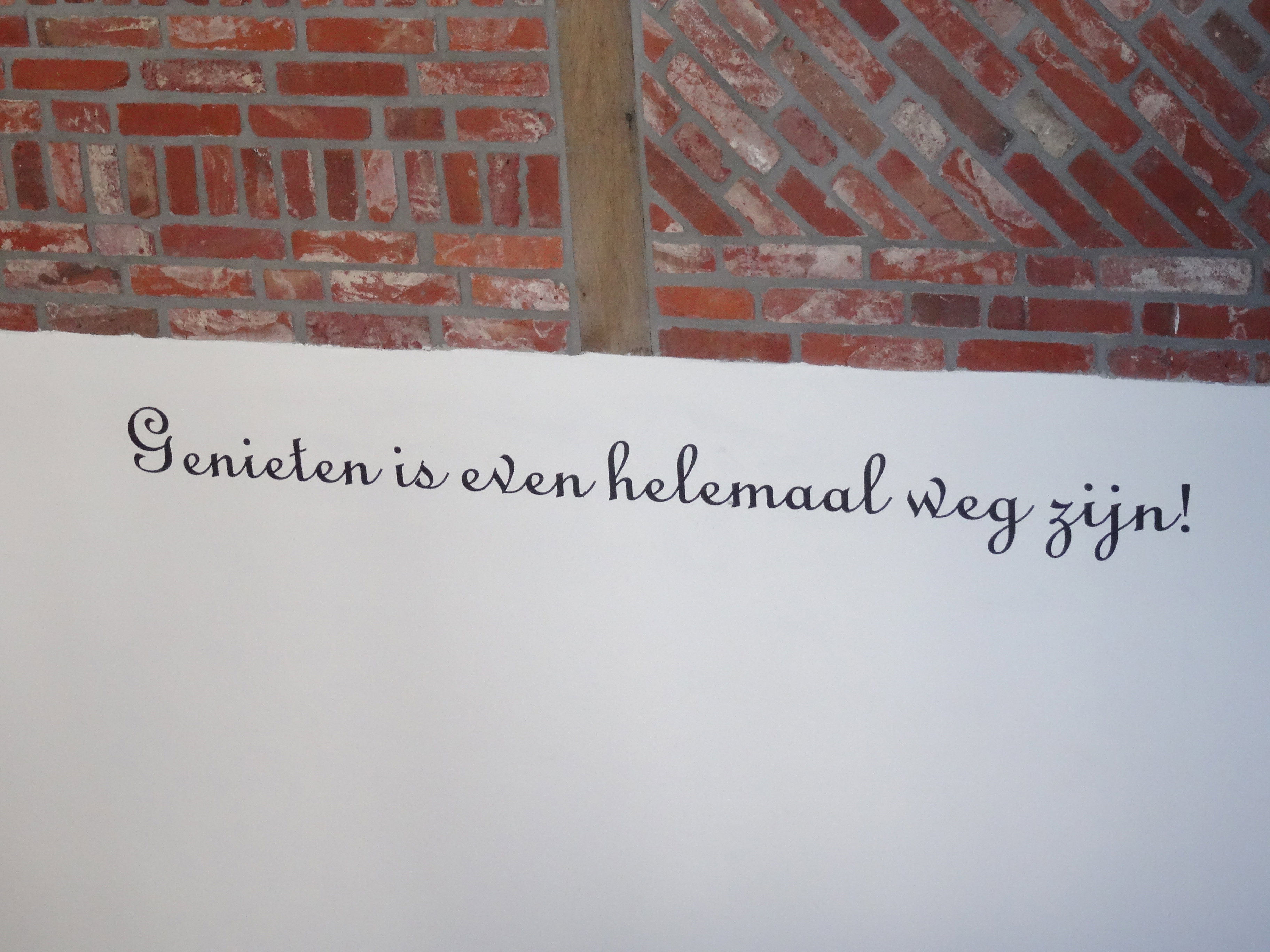 - image: 12
