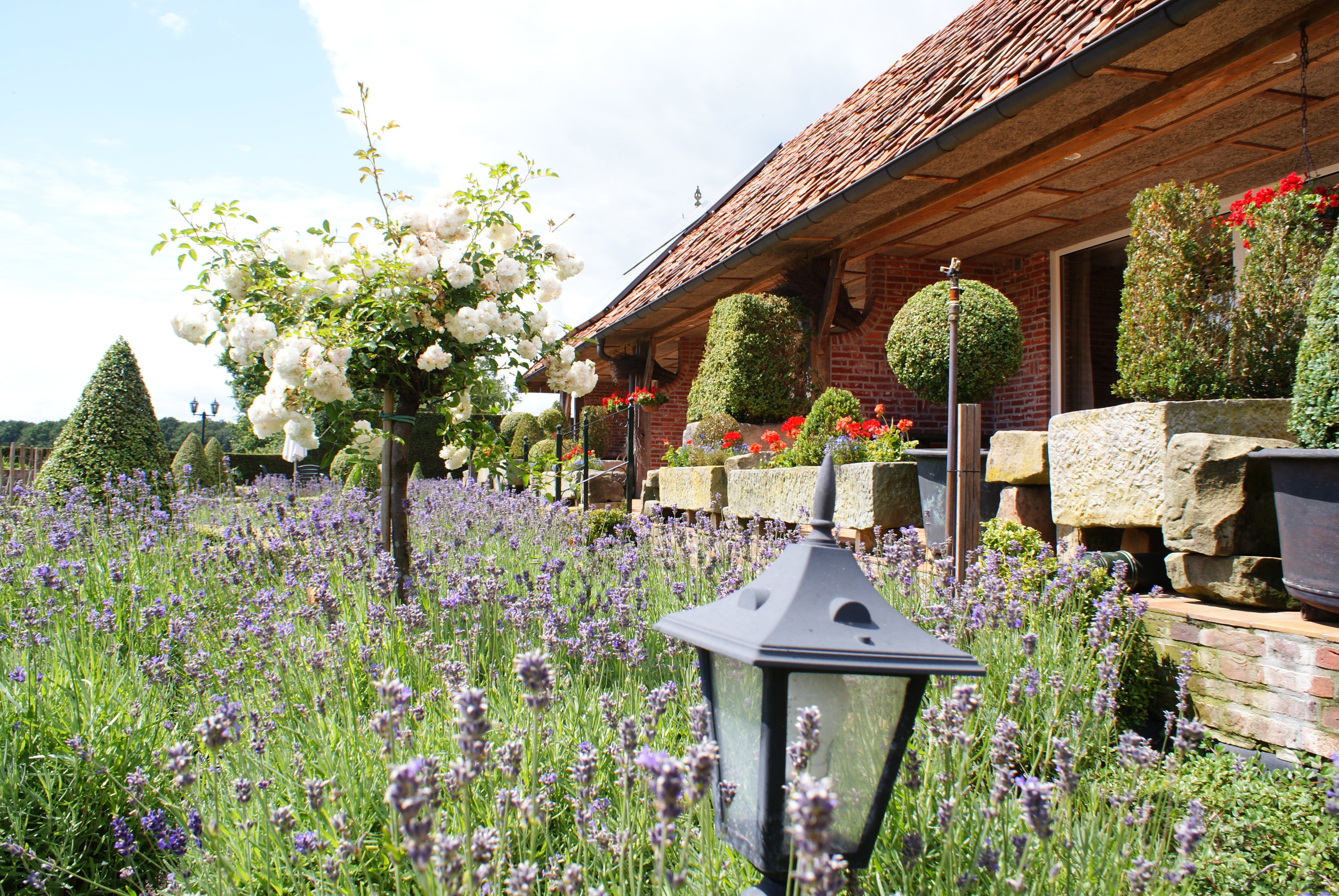 Maison nature à Vasse
