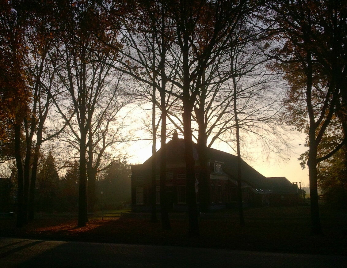 - image: 24