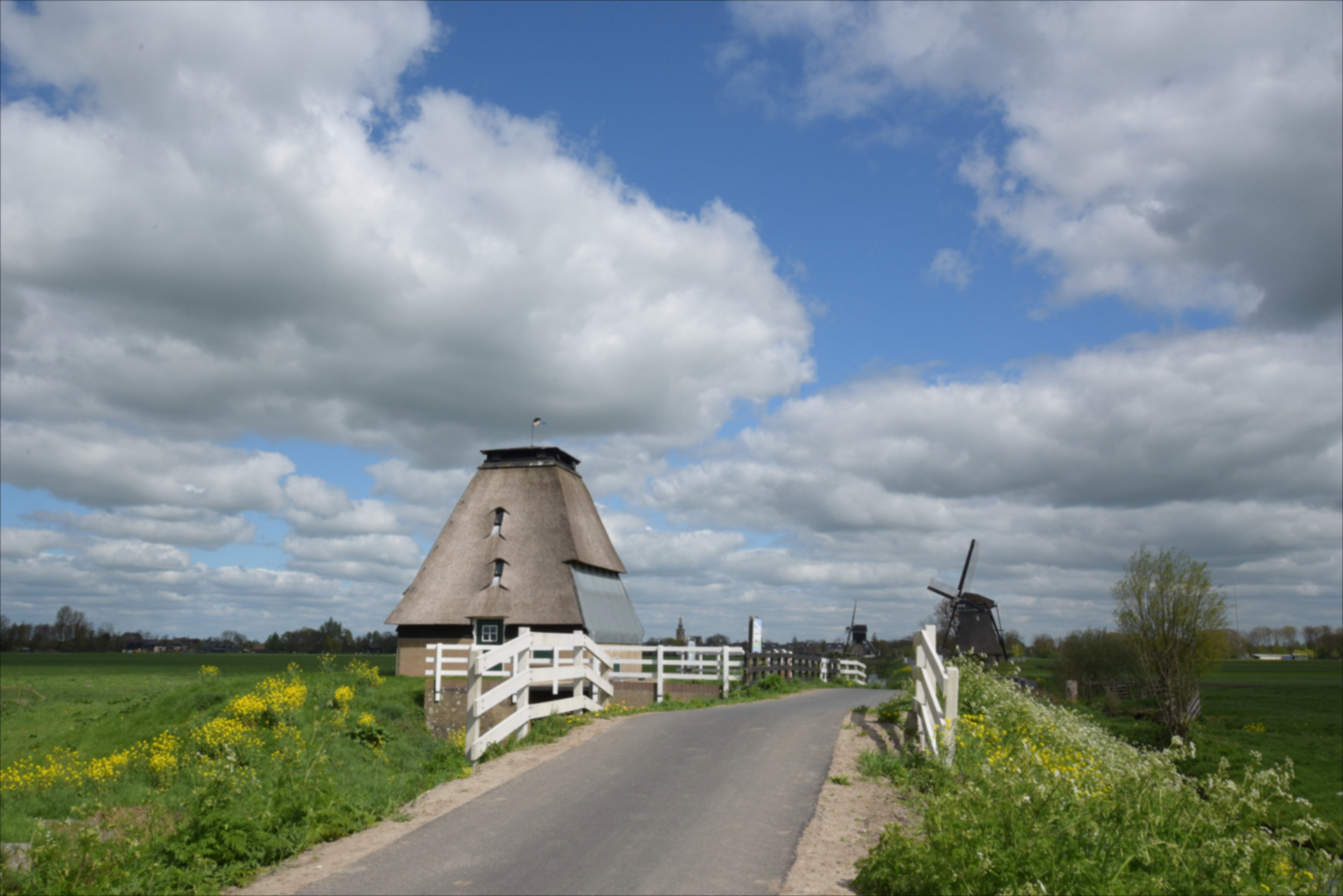 - image: 22