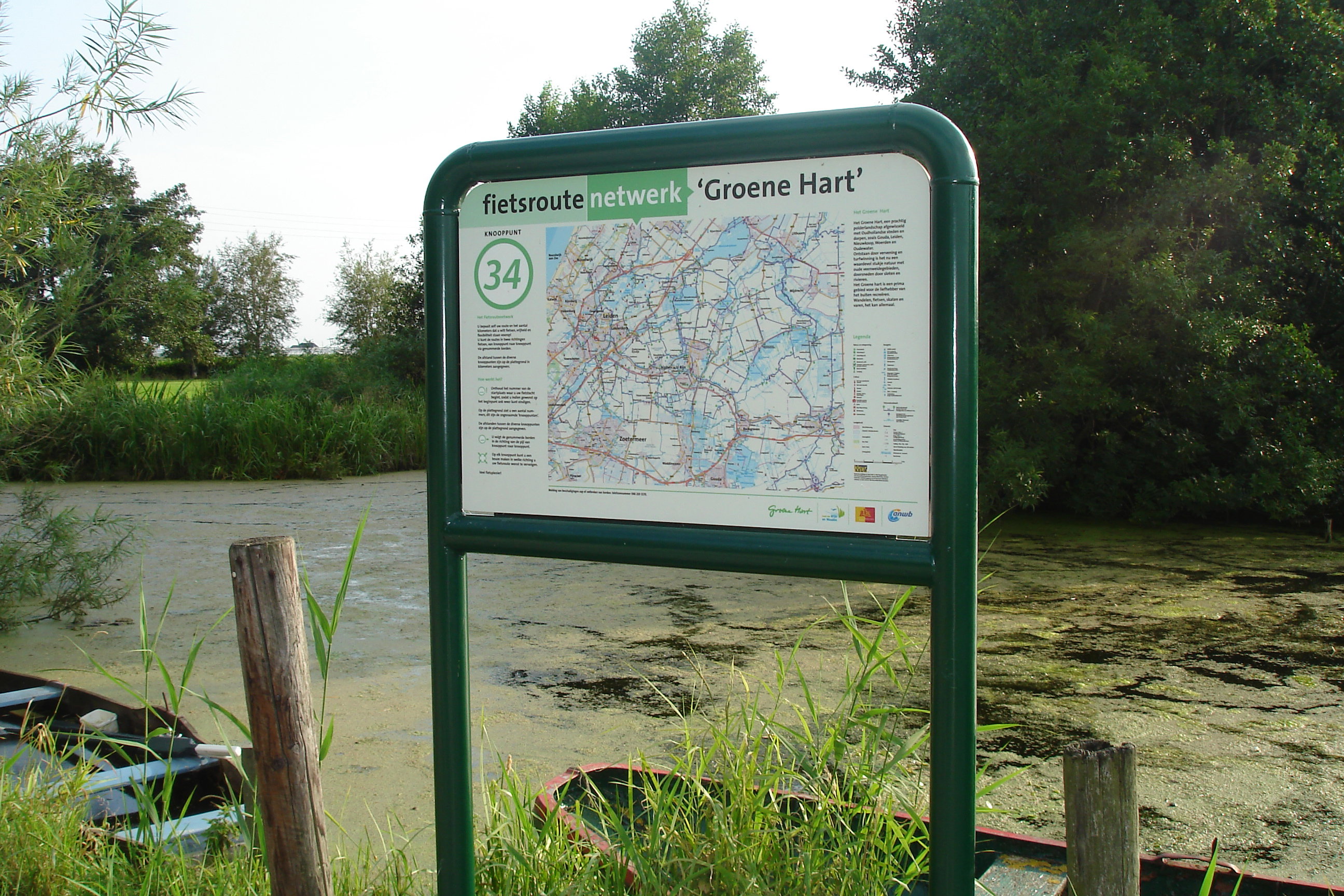 - image: 11