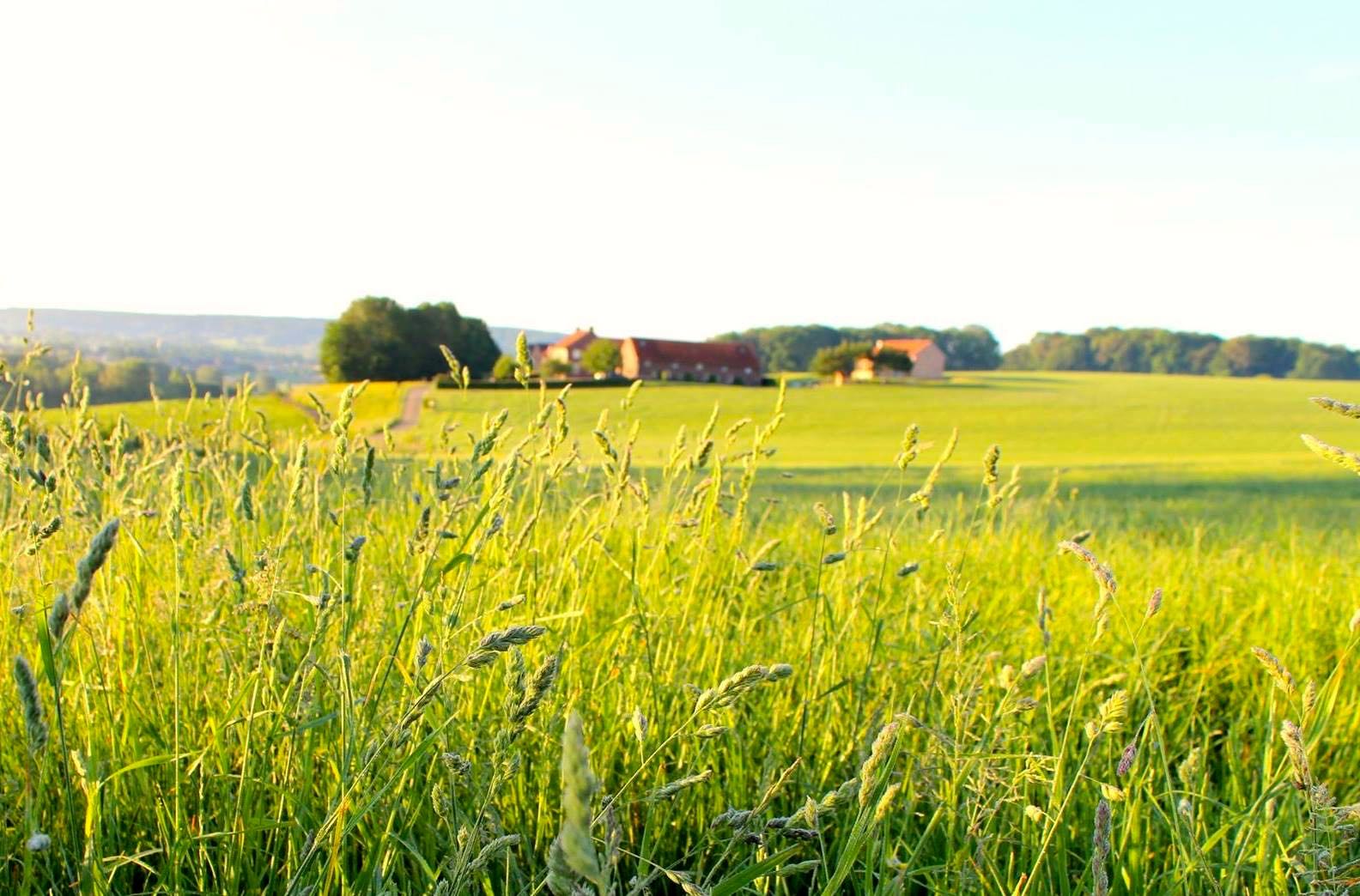 Maison nature à Gulpen