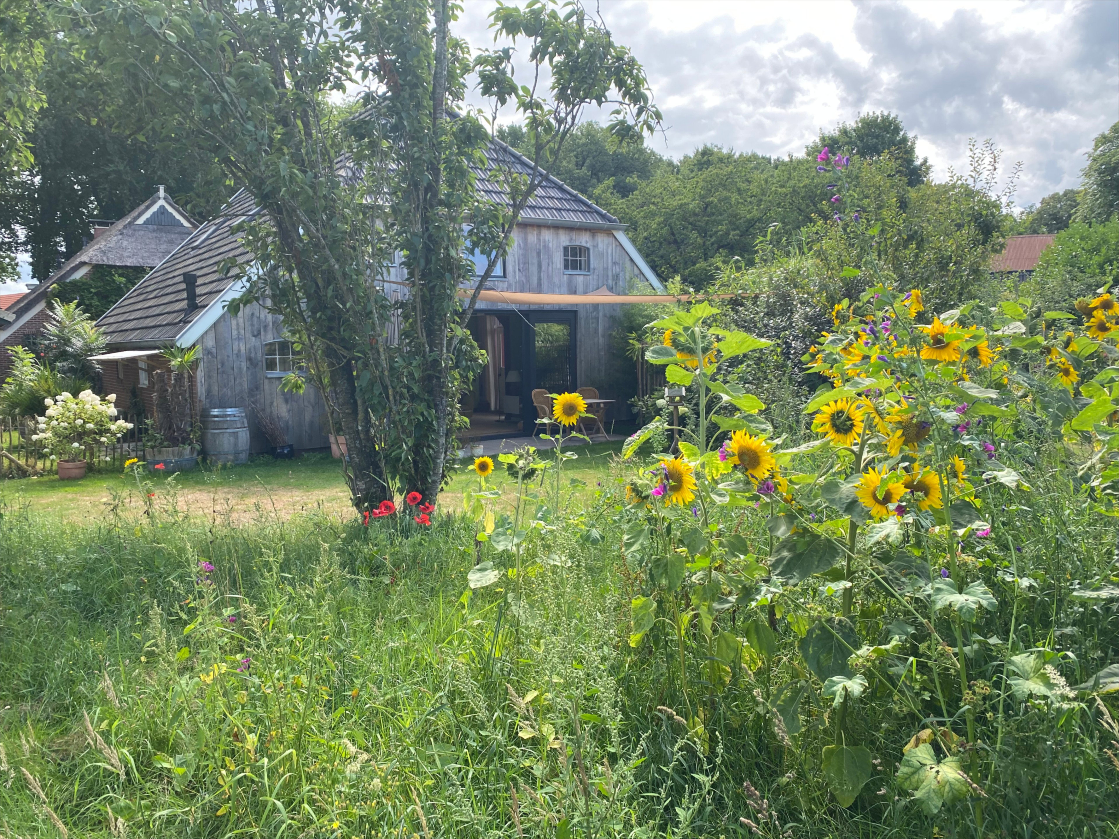 Casa nella natura a Eext