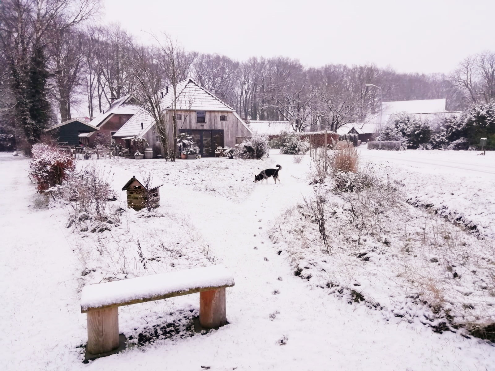Maison nature à Eext
