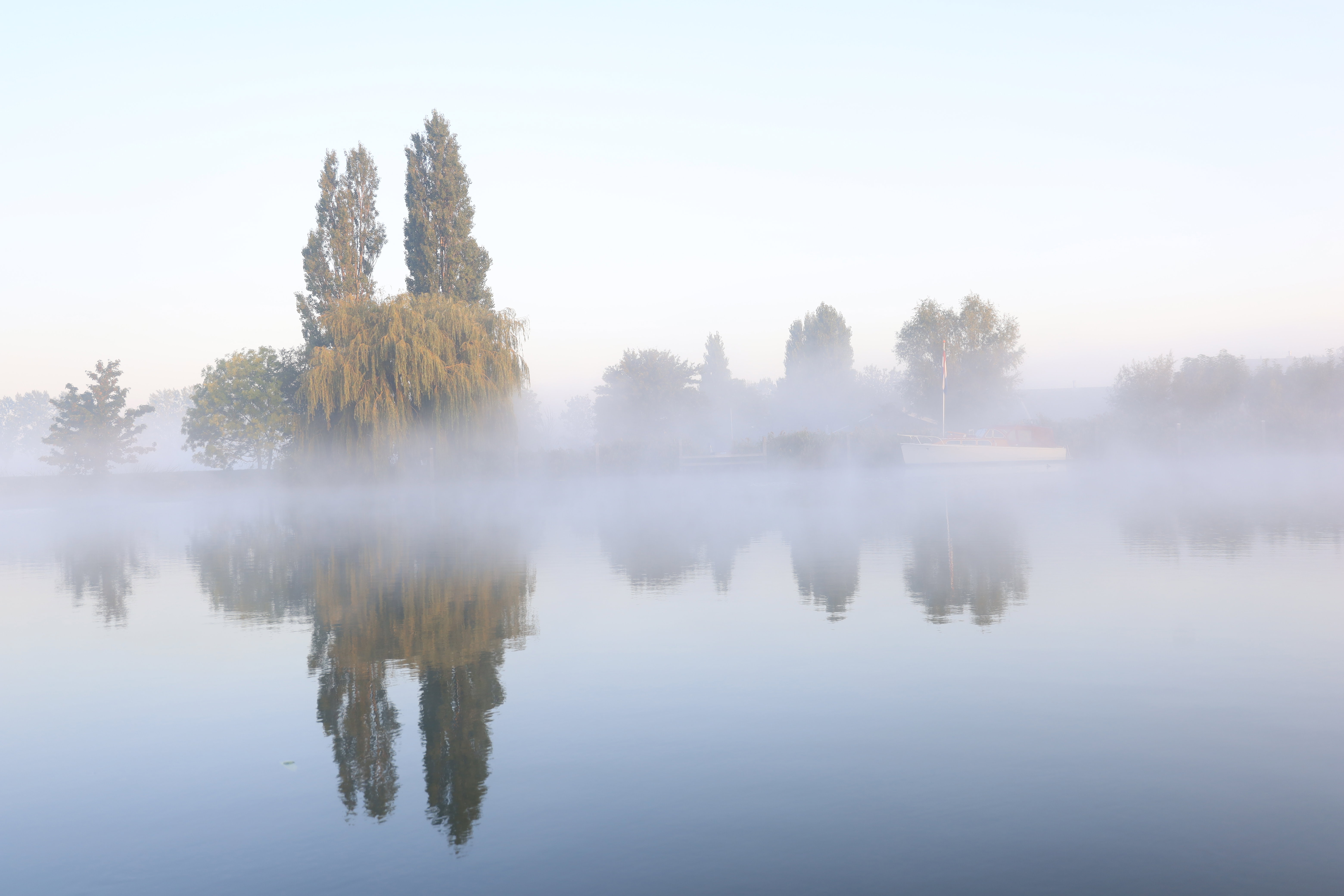 - image: 26