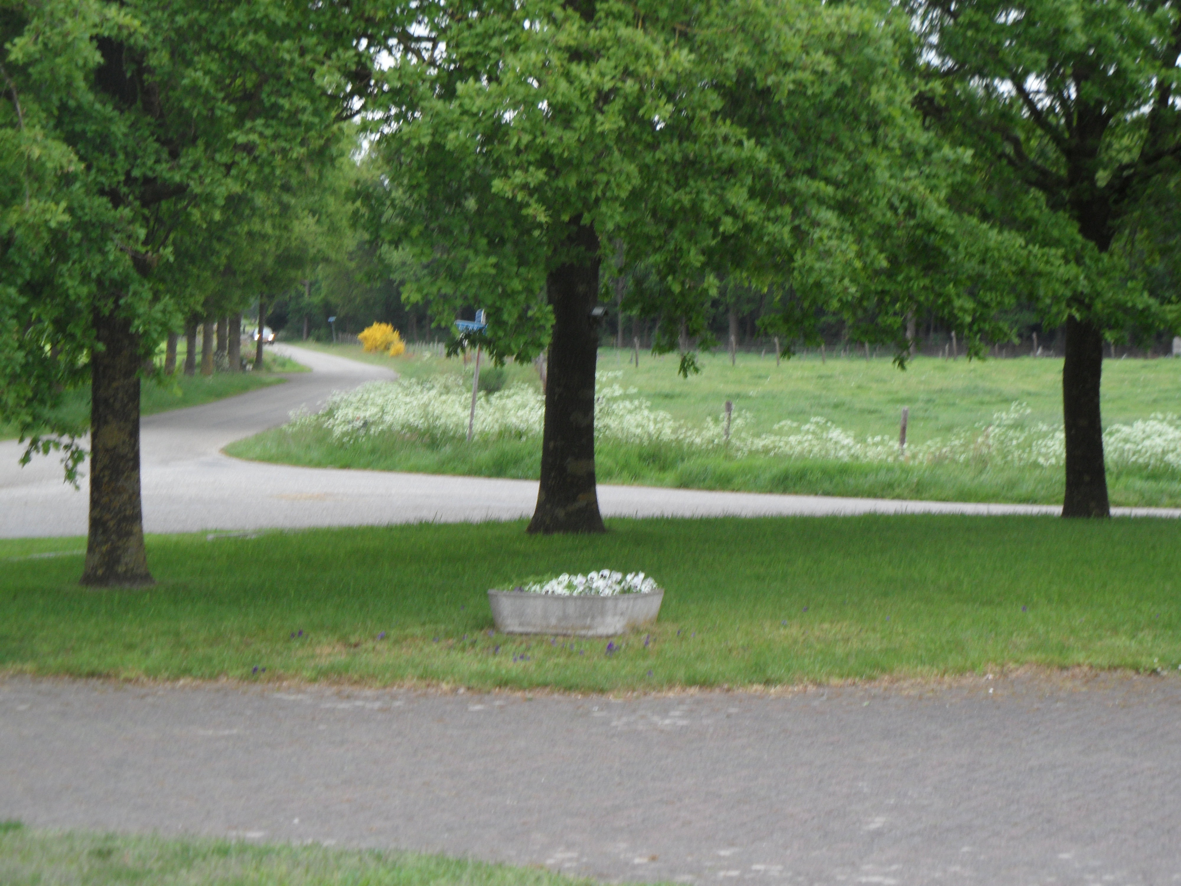 - image: 5