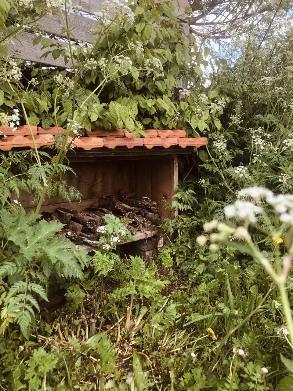 Naturhäuschen in Alphen