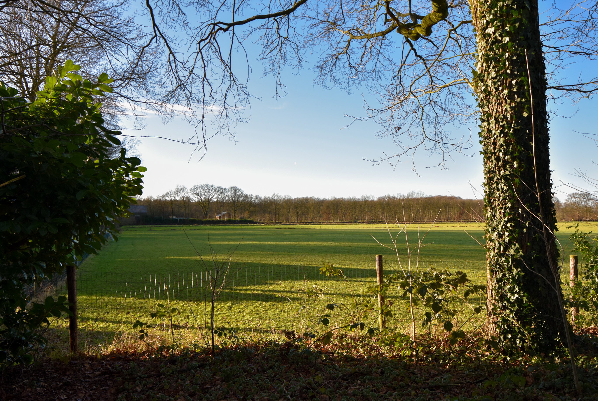 Natuurhuisje in Overberg
