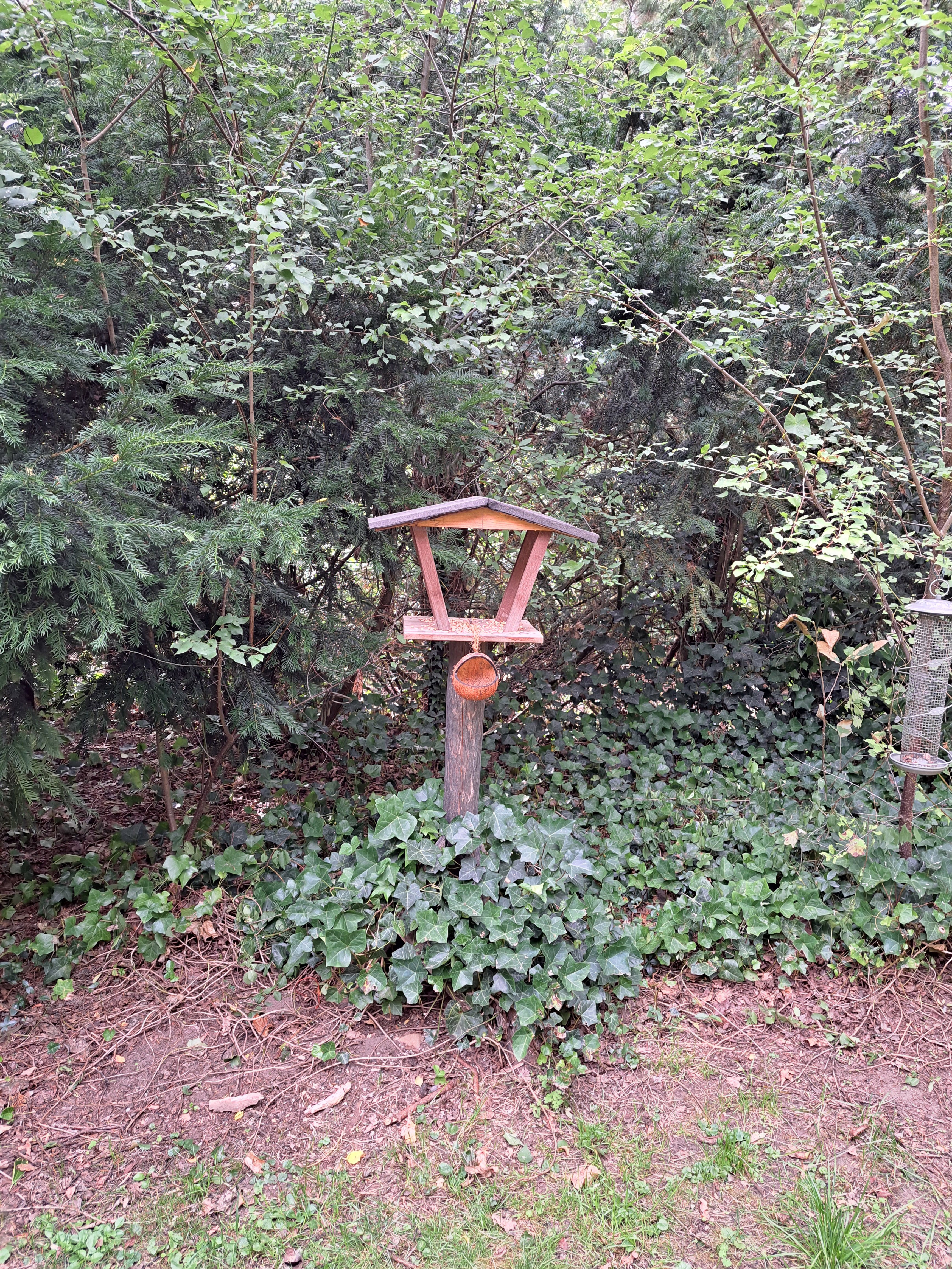 - image: 22