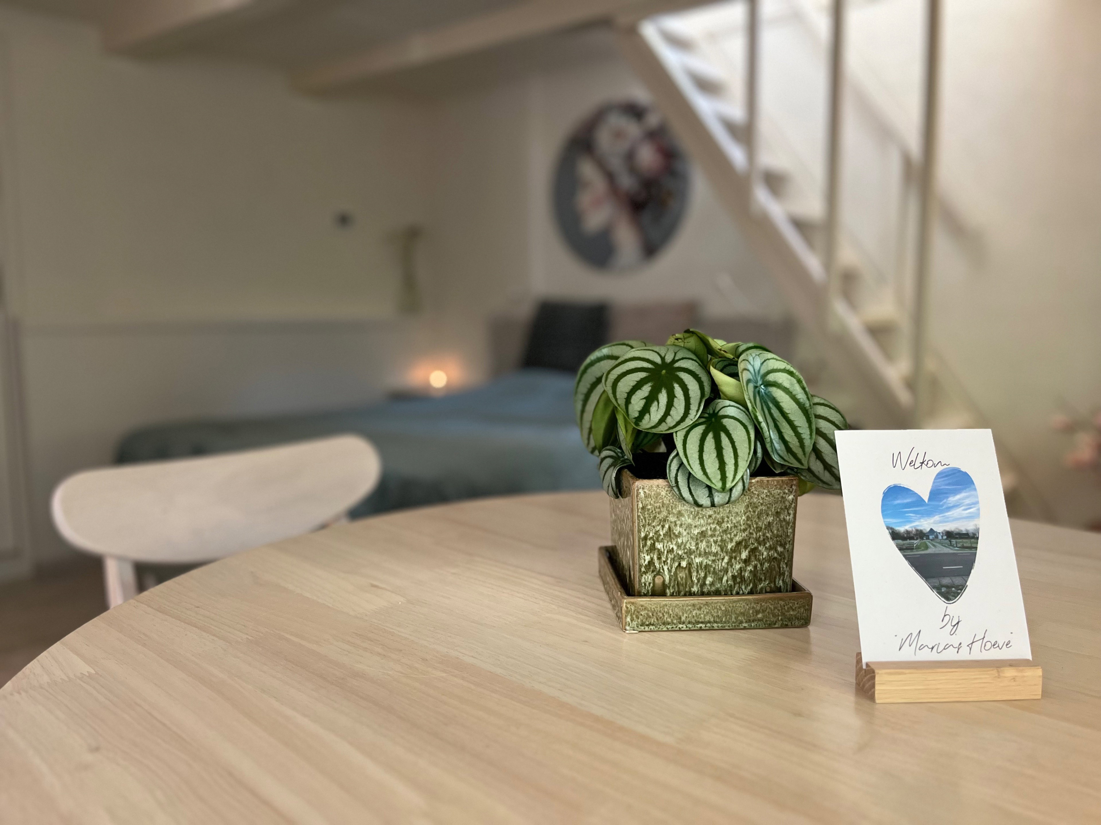Nature house in Den Hoorn