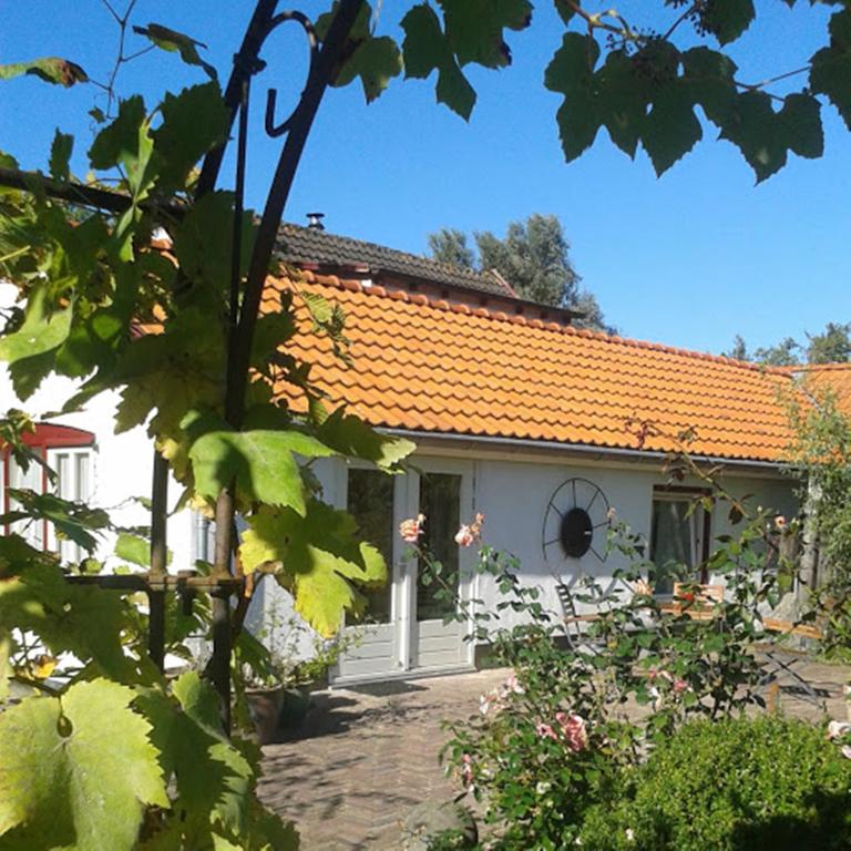 Naturhäuschen in De Cocksdorp